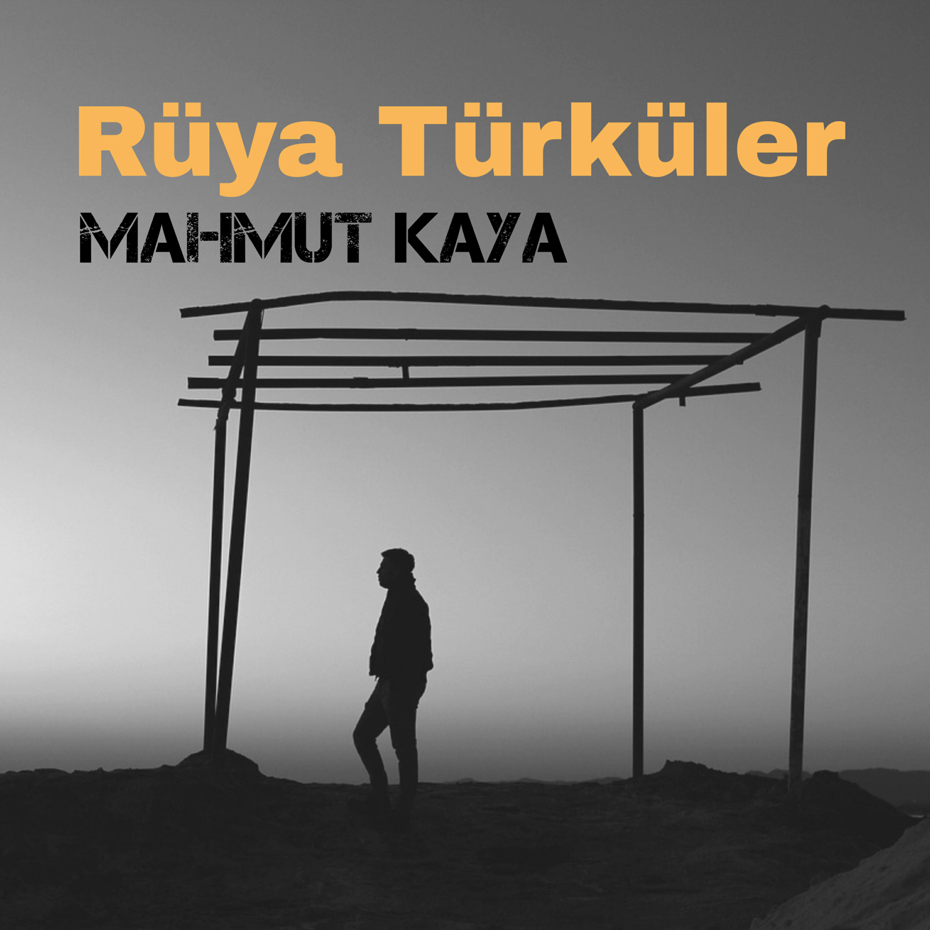 Mahmut Kaya