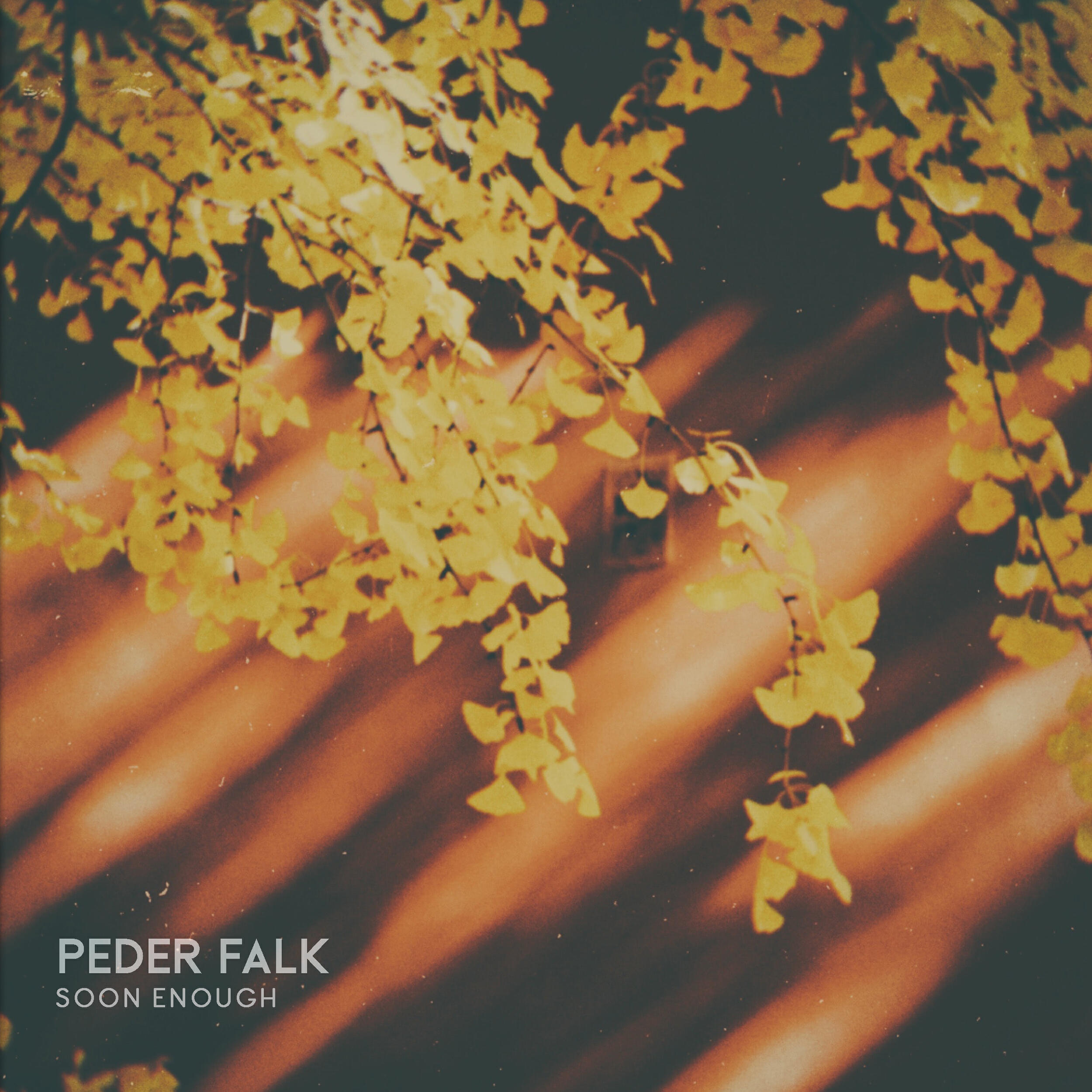 Peder Falk