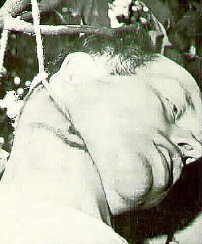 Chimora