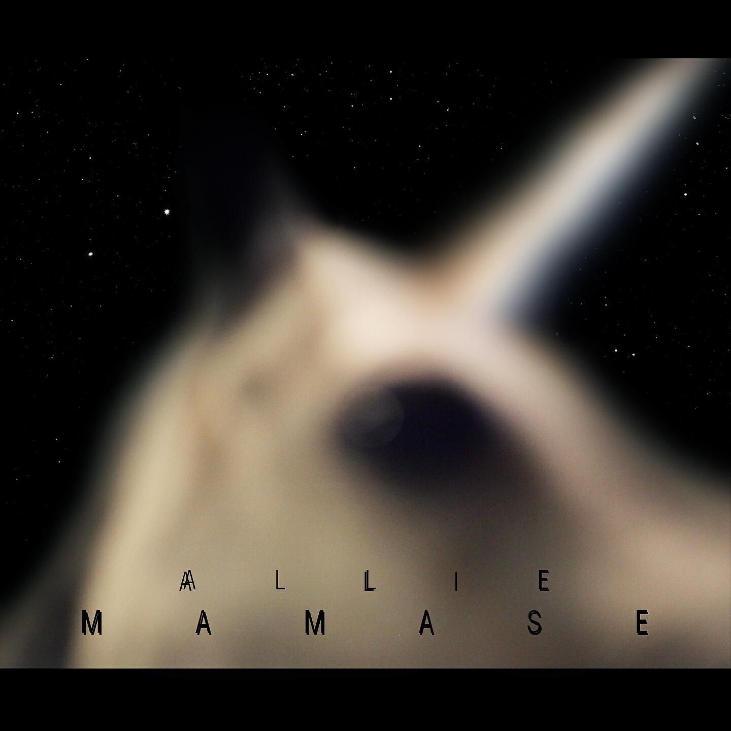 Релиз Mamase