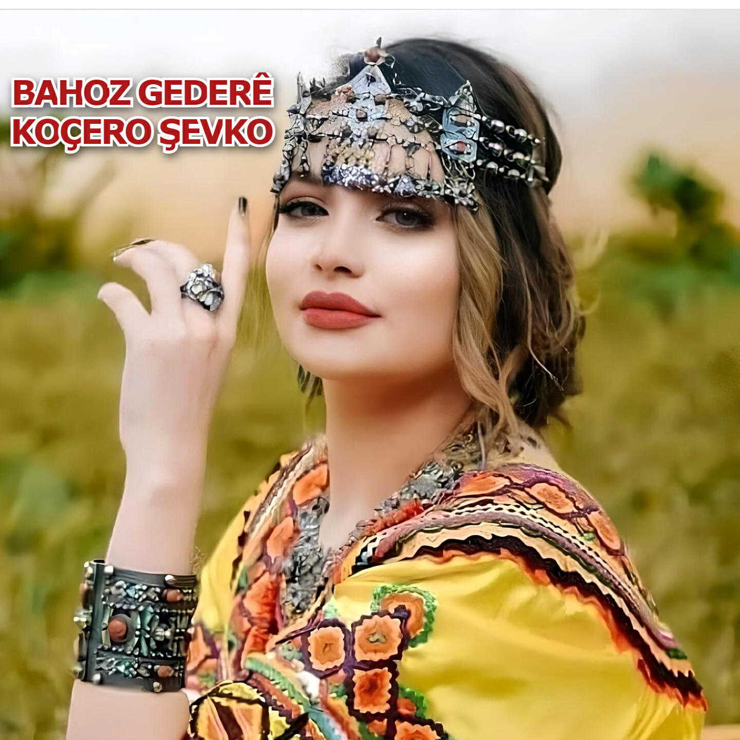 Релиз Bahoz Gederê