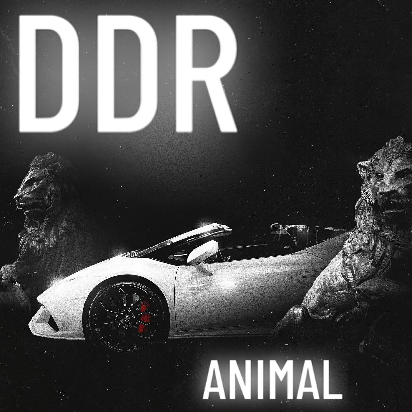 Релиз Animal