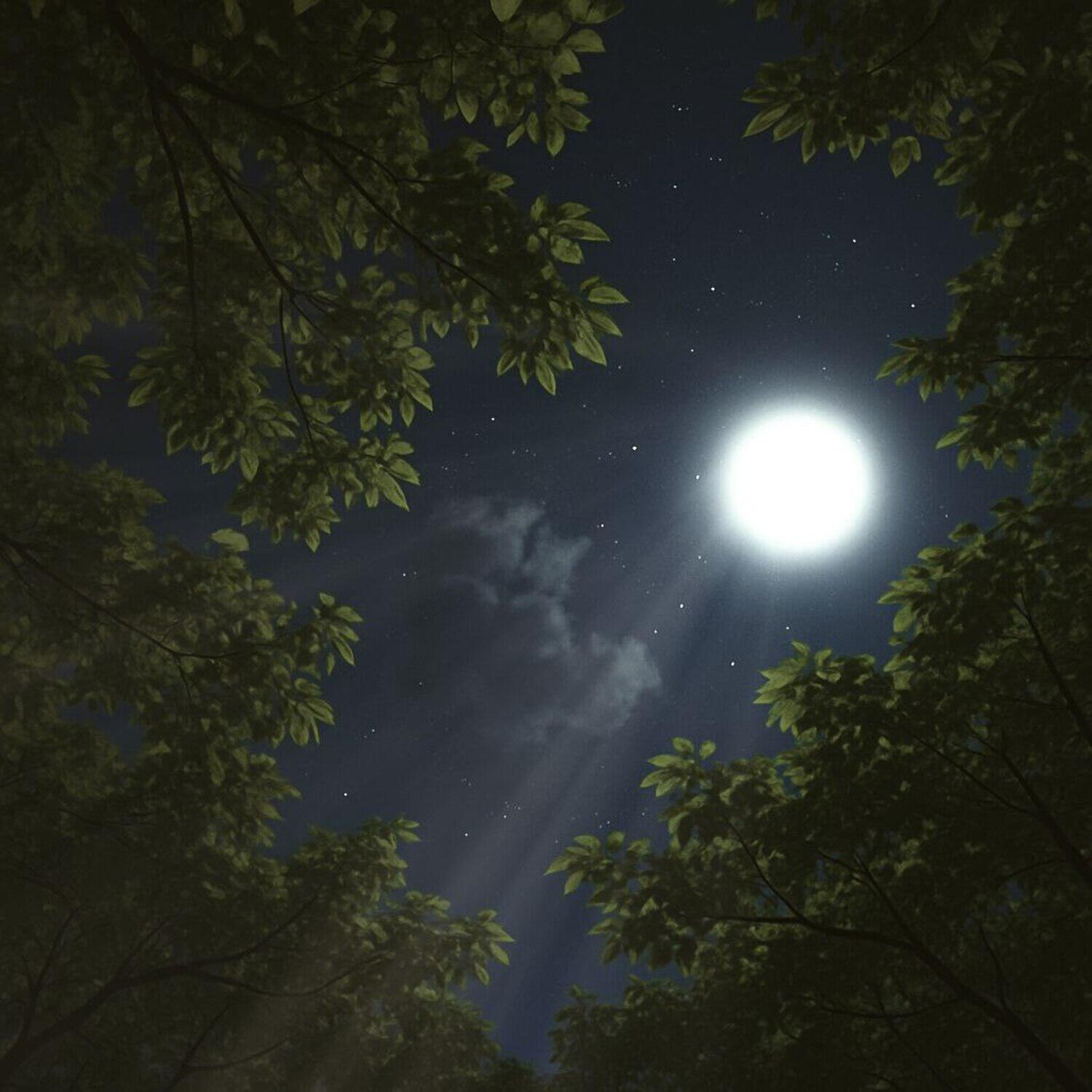 kai yuki