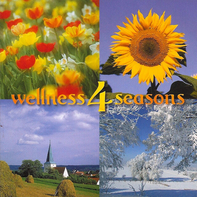 Релиз Wellness 4 Seasons