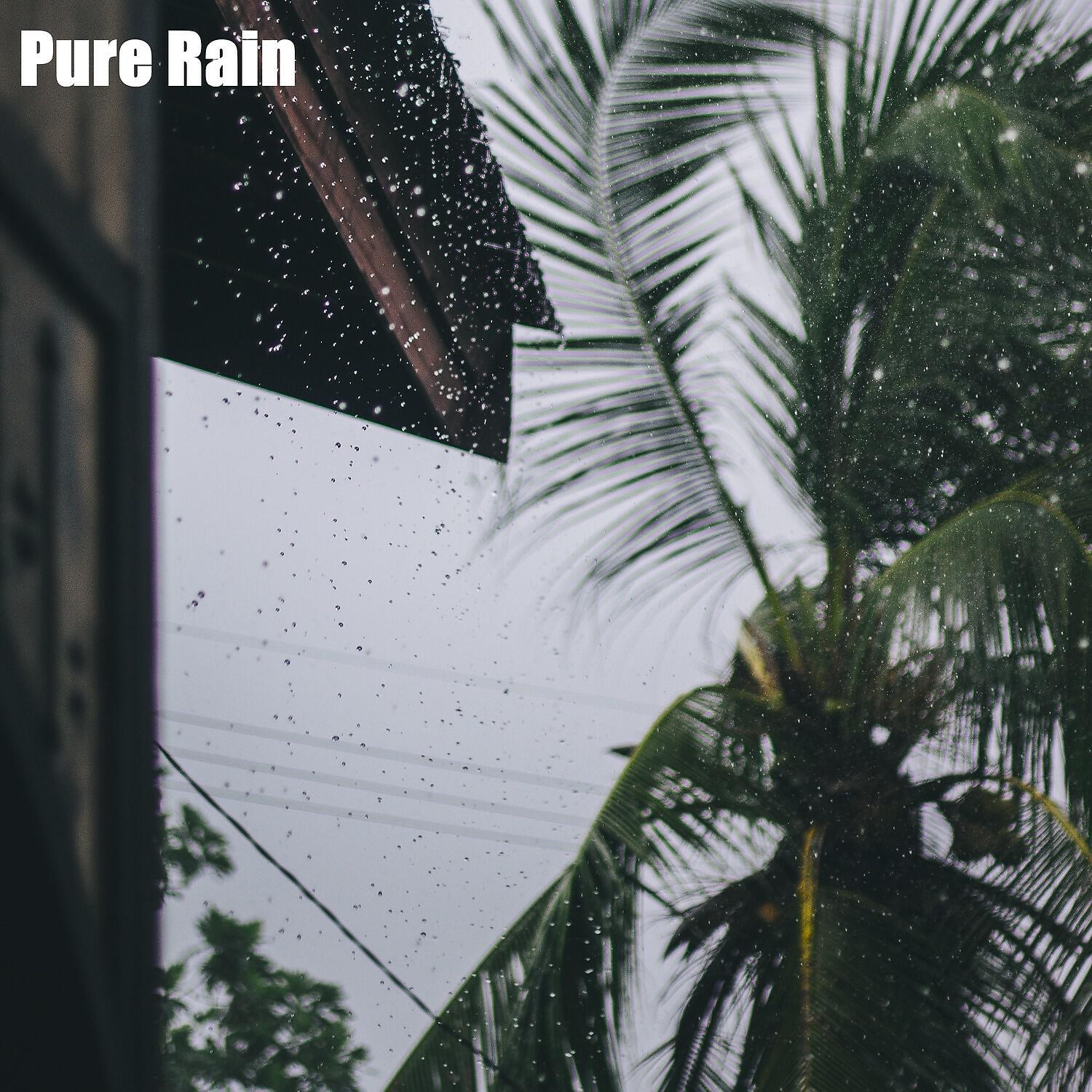 Релиз Pure Rain