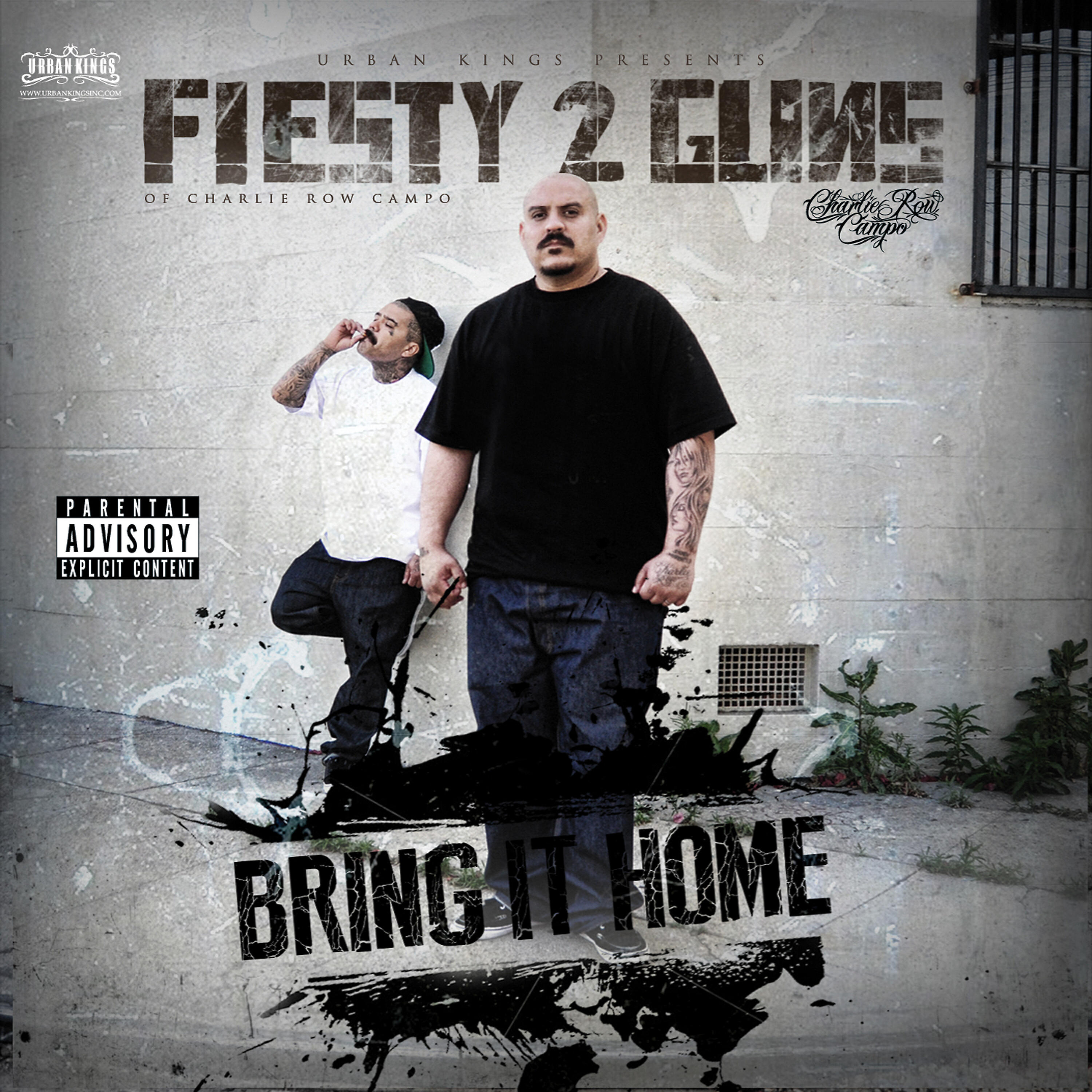 Релиз Bring It Home