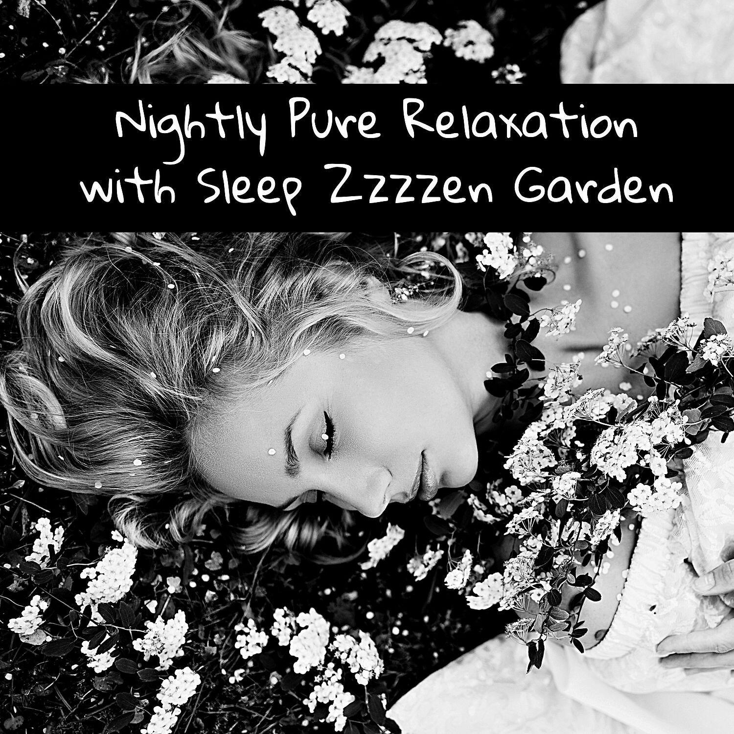 Релиз Nightly Pure Relaxation with Sleep Zzzzen Garden