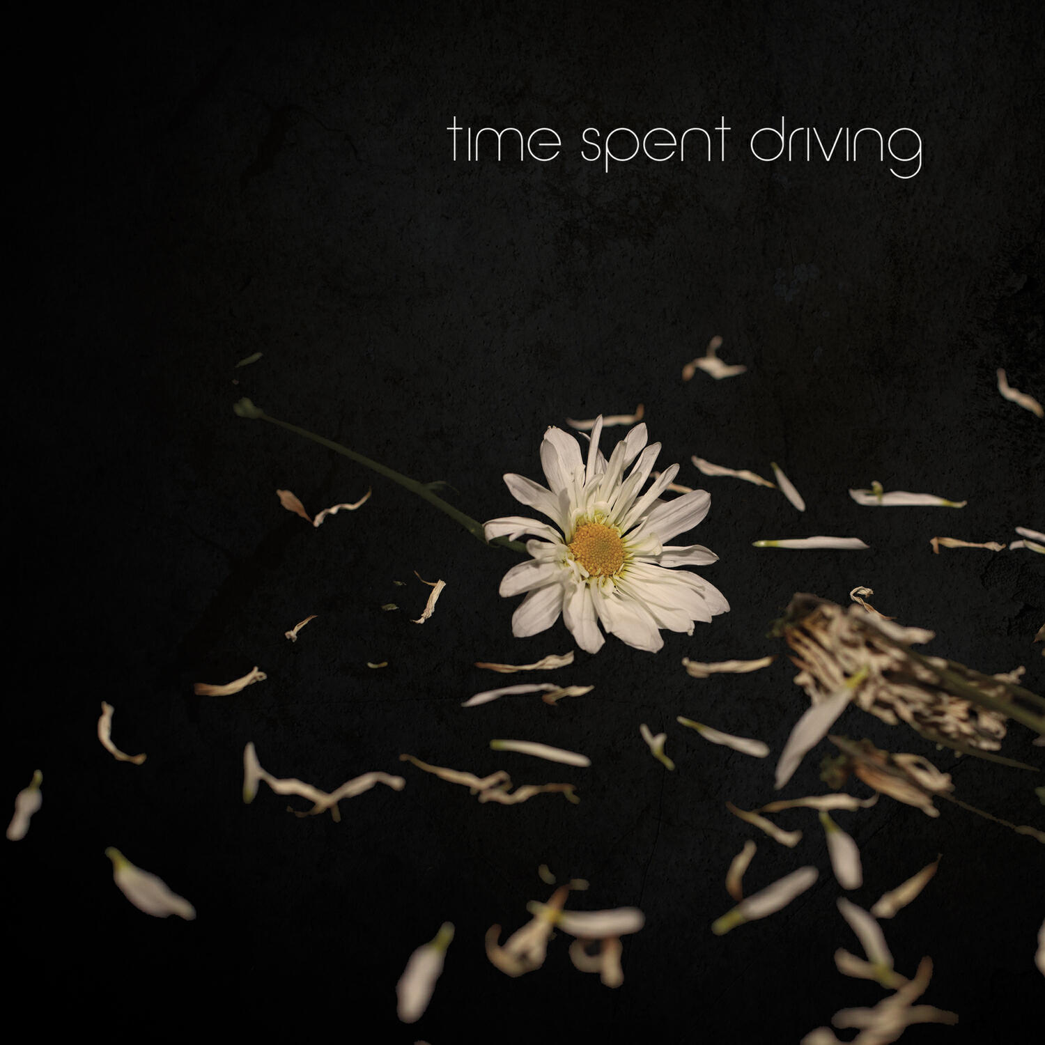 Релиз Wake Up and Smell the Daisies