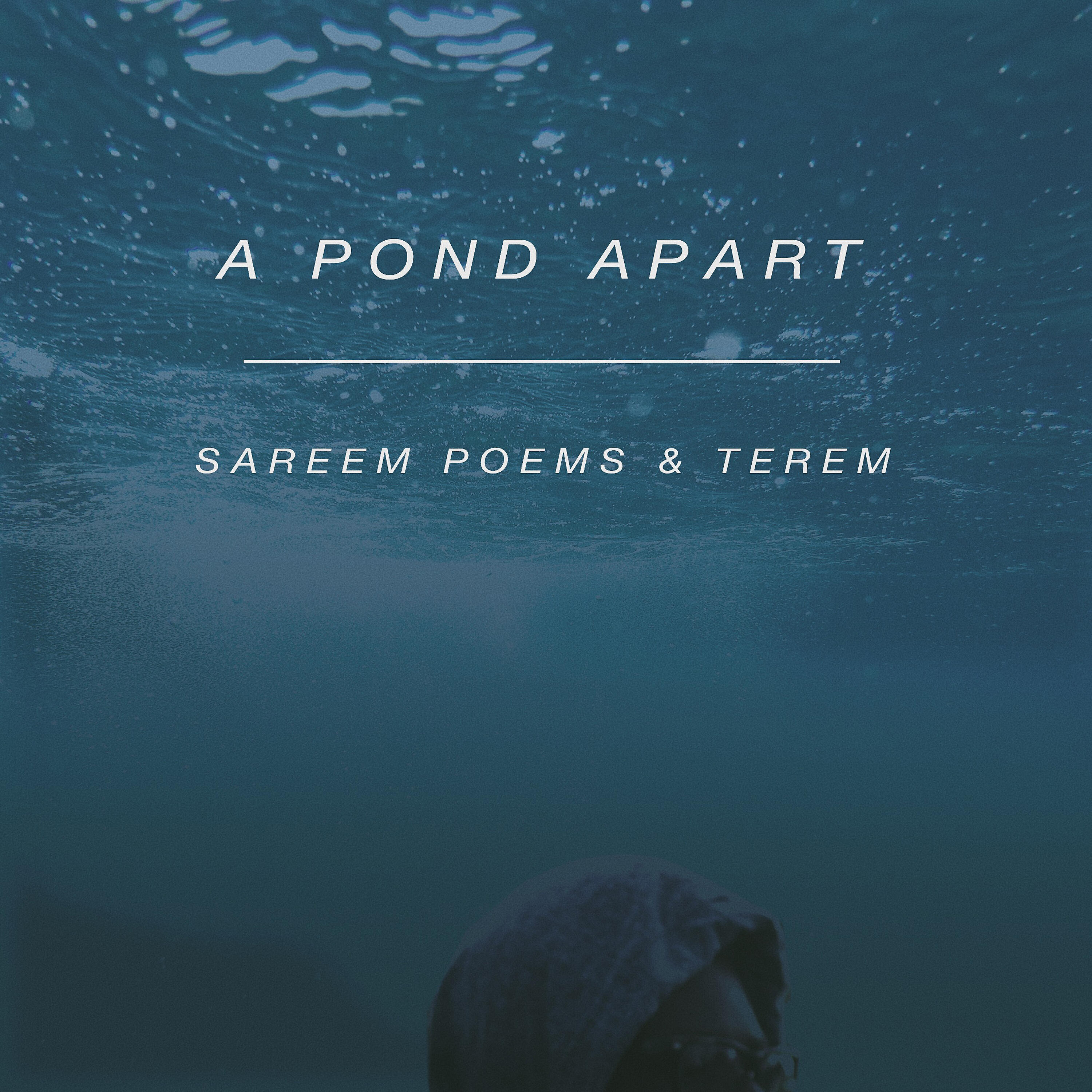 Релиз A Pond Apart