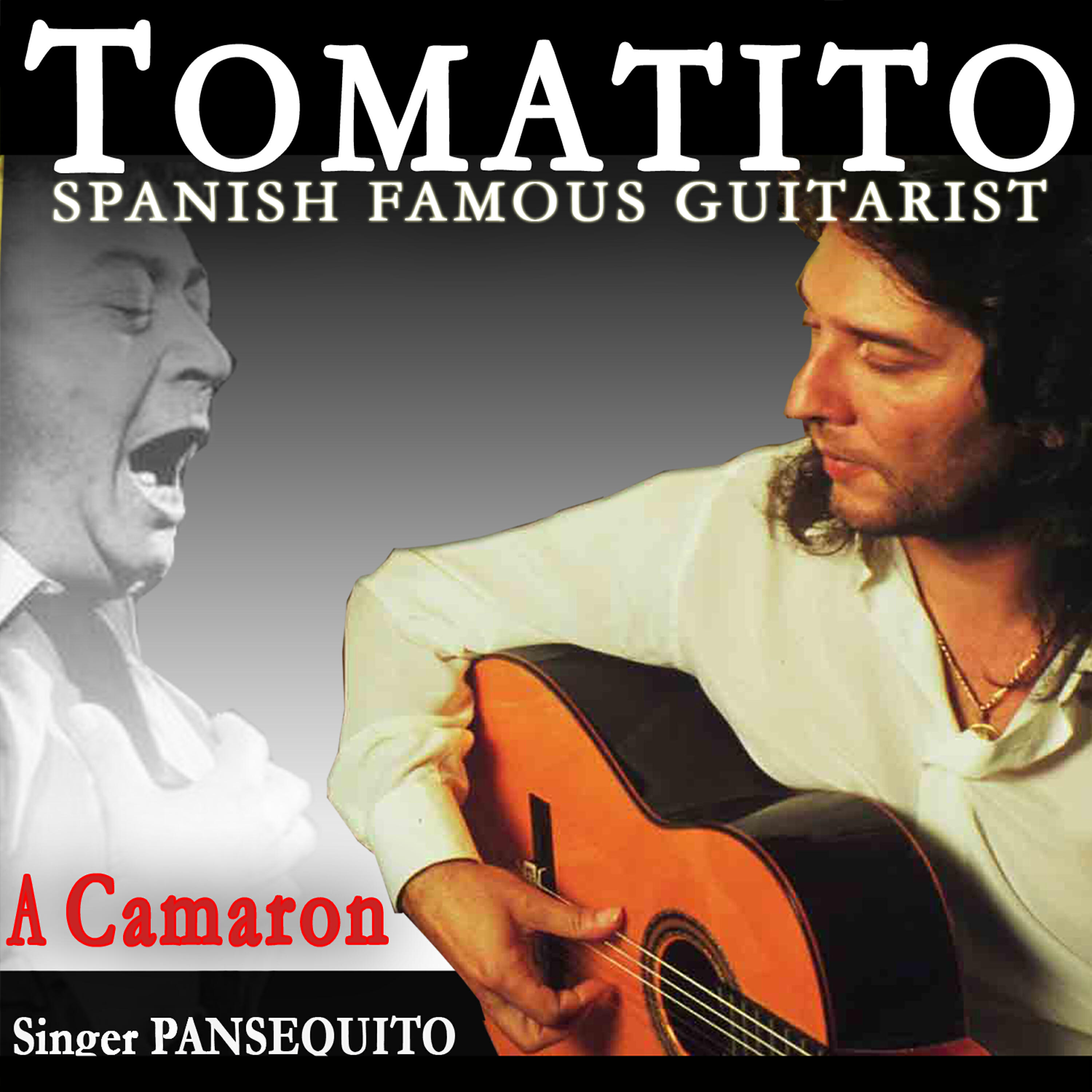 Релиз Pansequito
