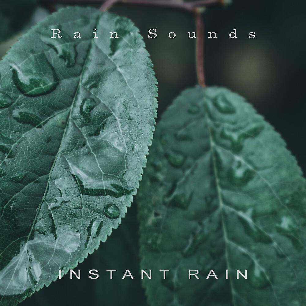 Релиз Instant Rain