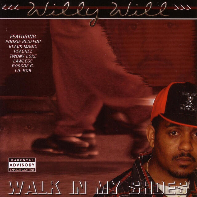 Постер альбома Walk In My Shoes