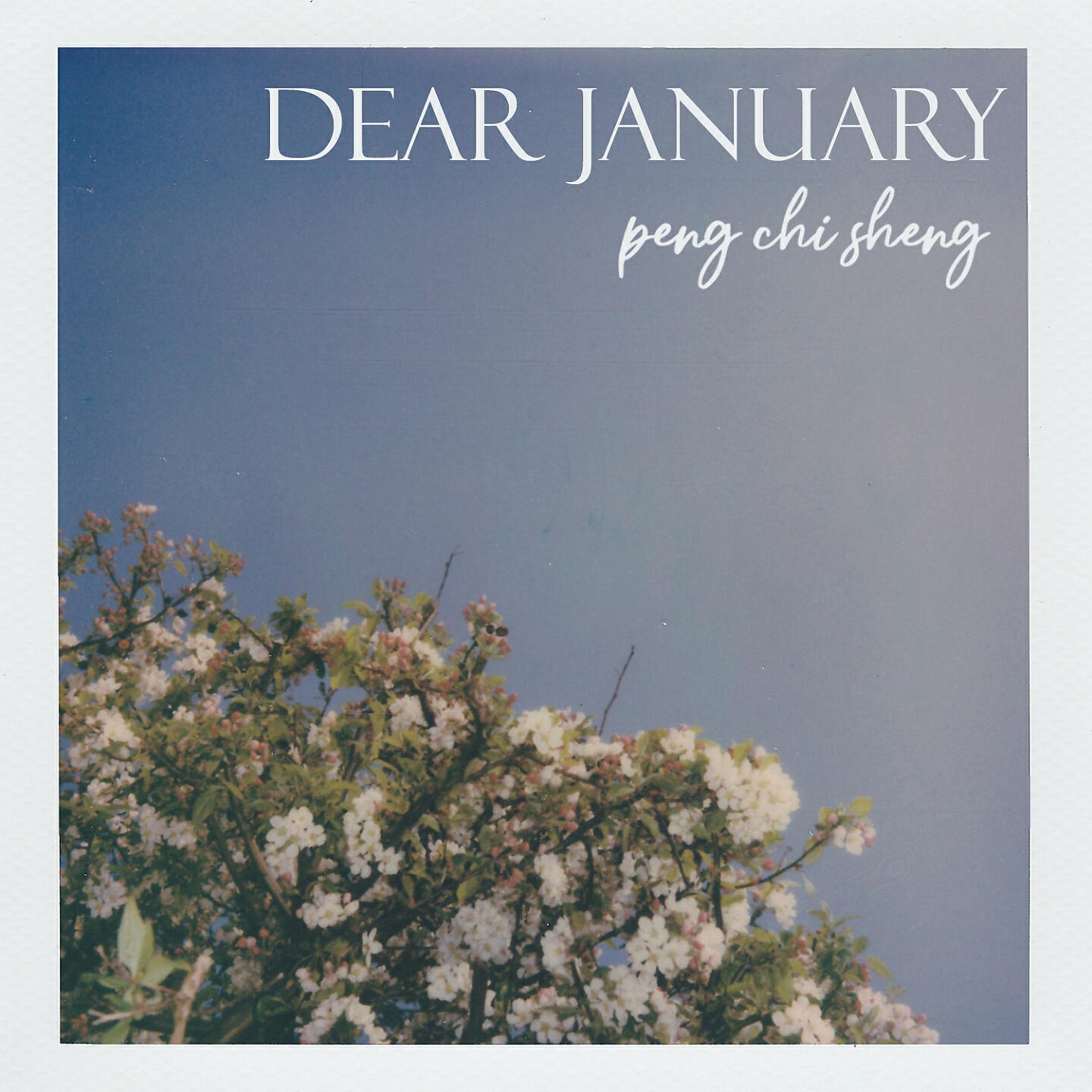 Релиз Dear January