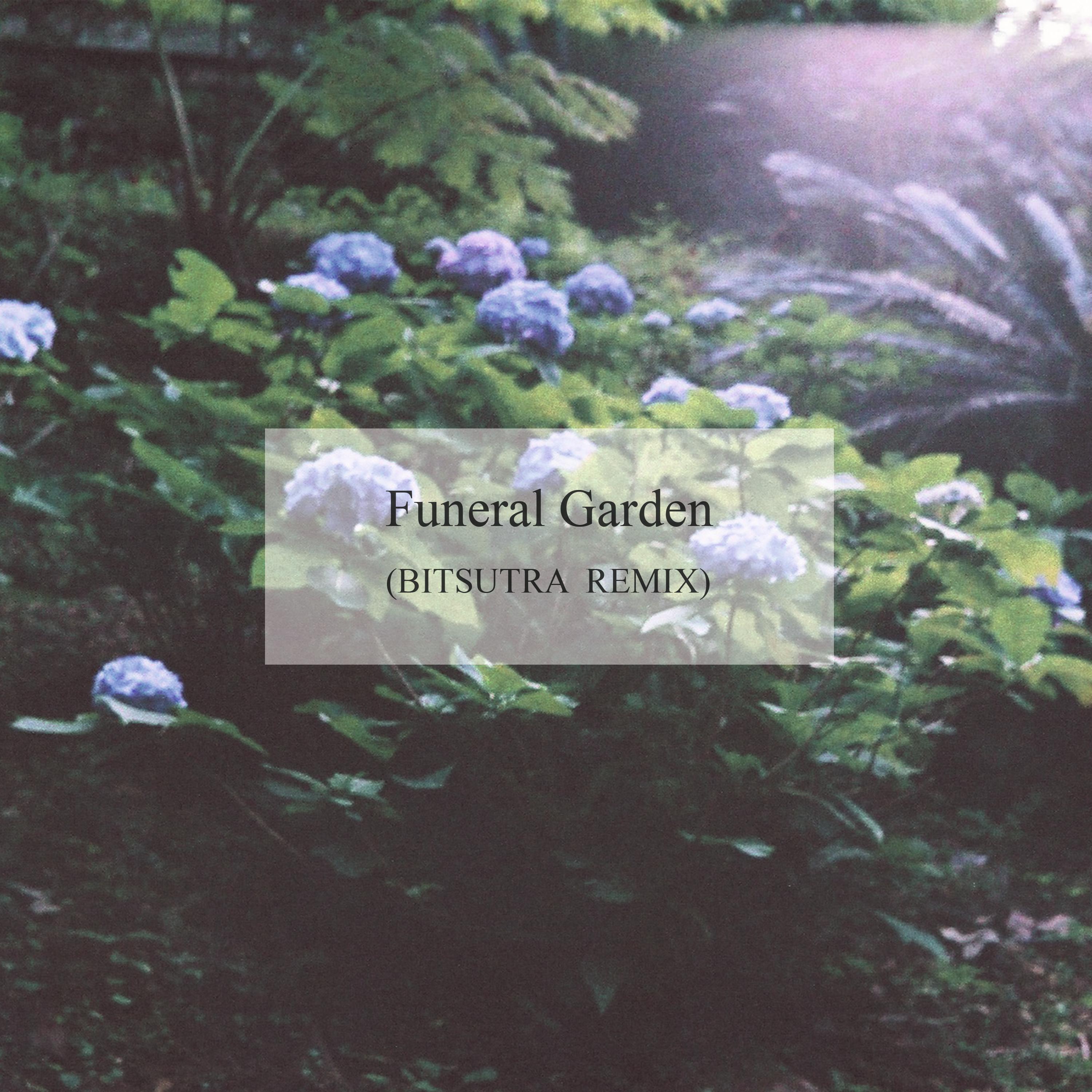 Релиз Funeral Garden (BitSutra Remix)