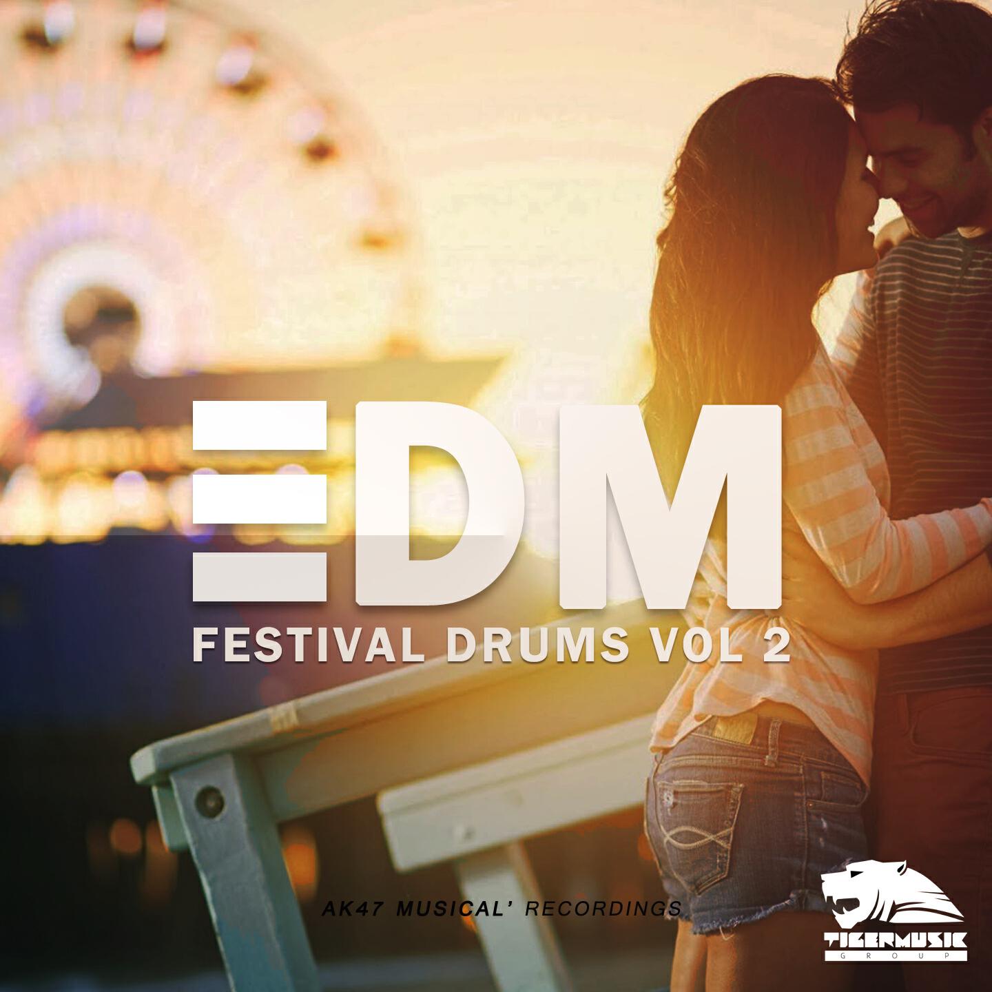 Релиз EDM Festival Drums, Vol. 2