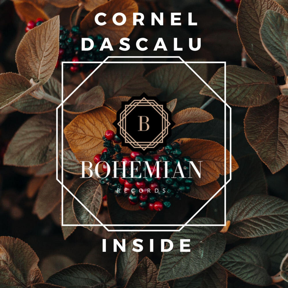 Релиз Inside