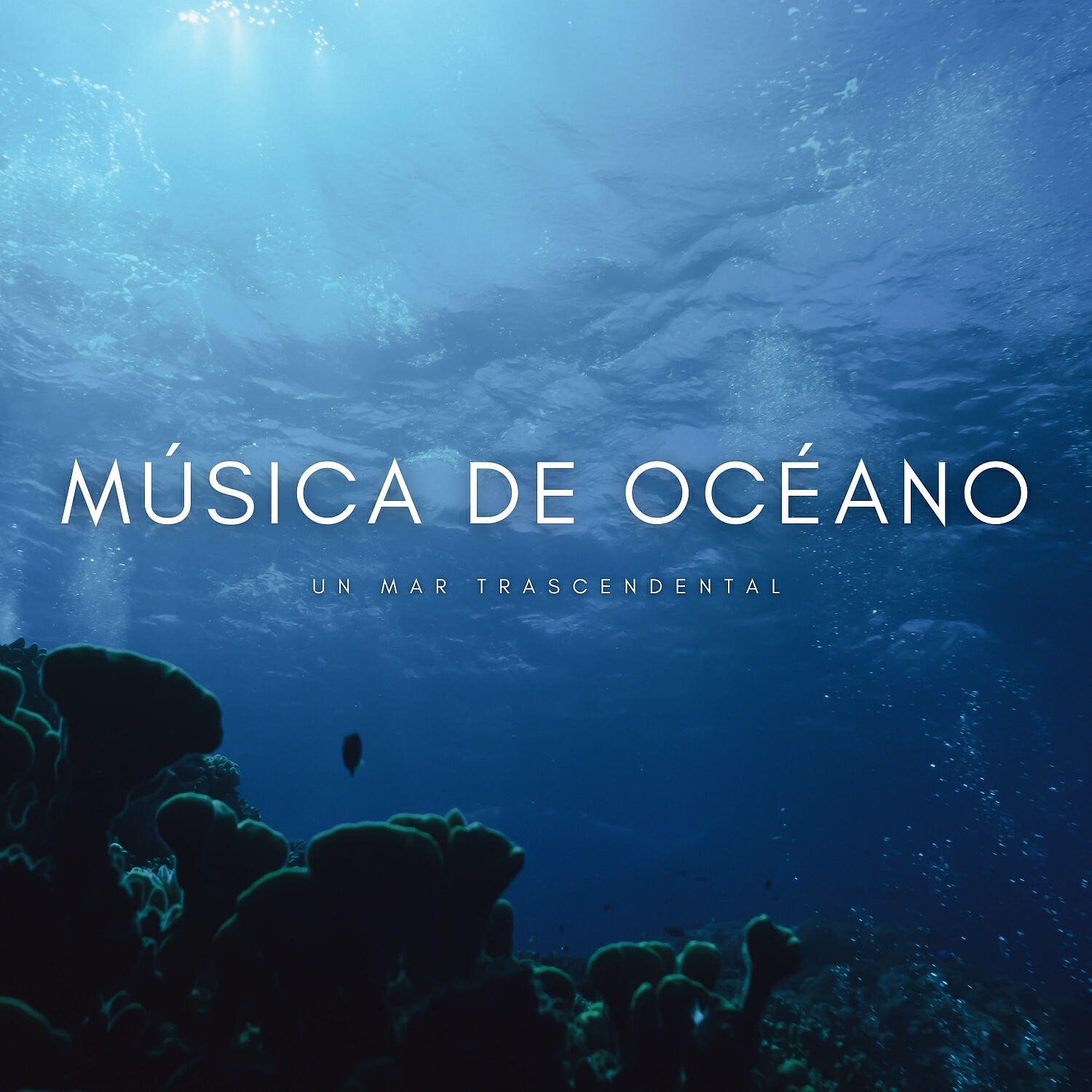 Постер альбома Música De Océano: Un Mar Trascendental