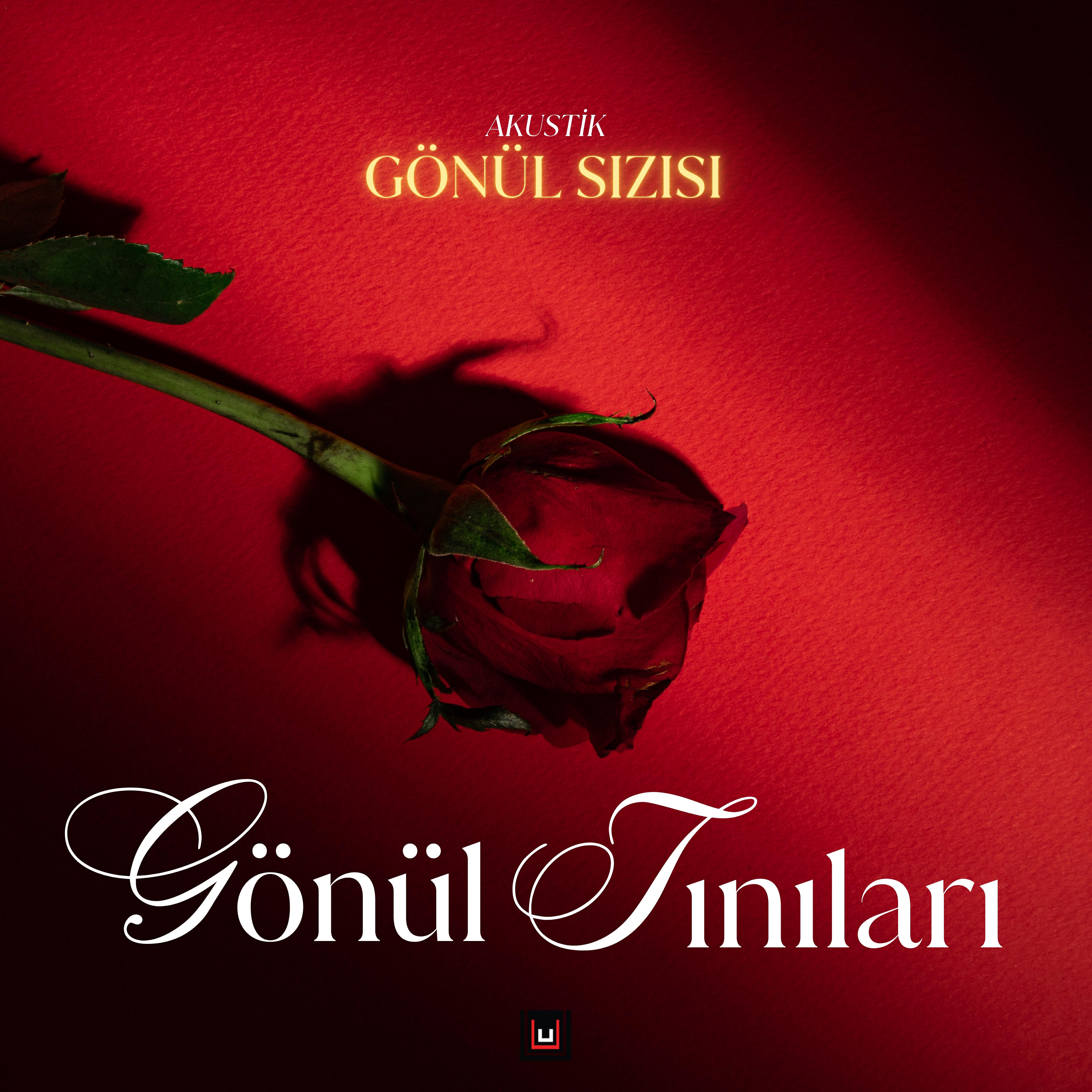 UKopuz Müzik Yapım