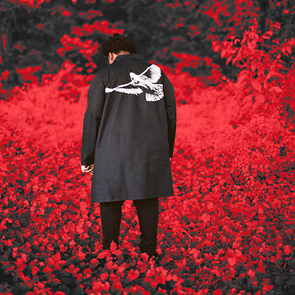 Релиз Last Man Standing