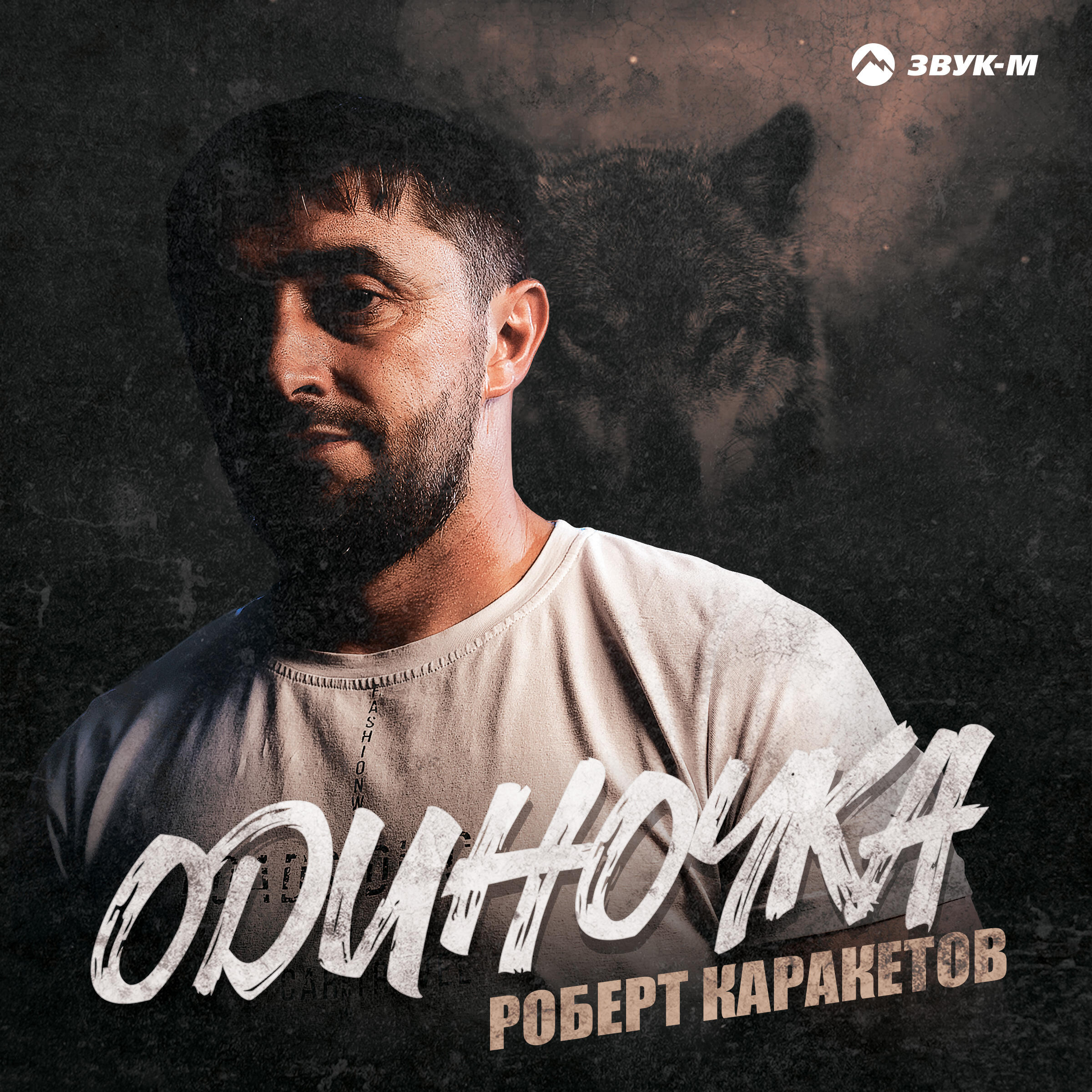 Постер альбома Одиночка