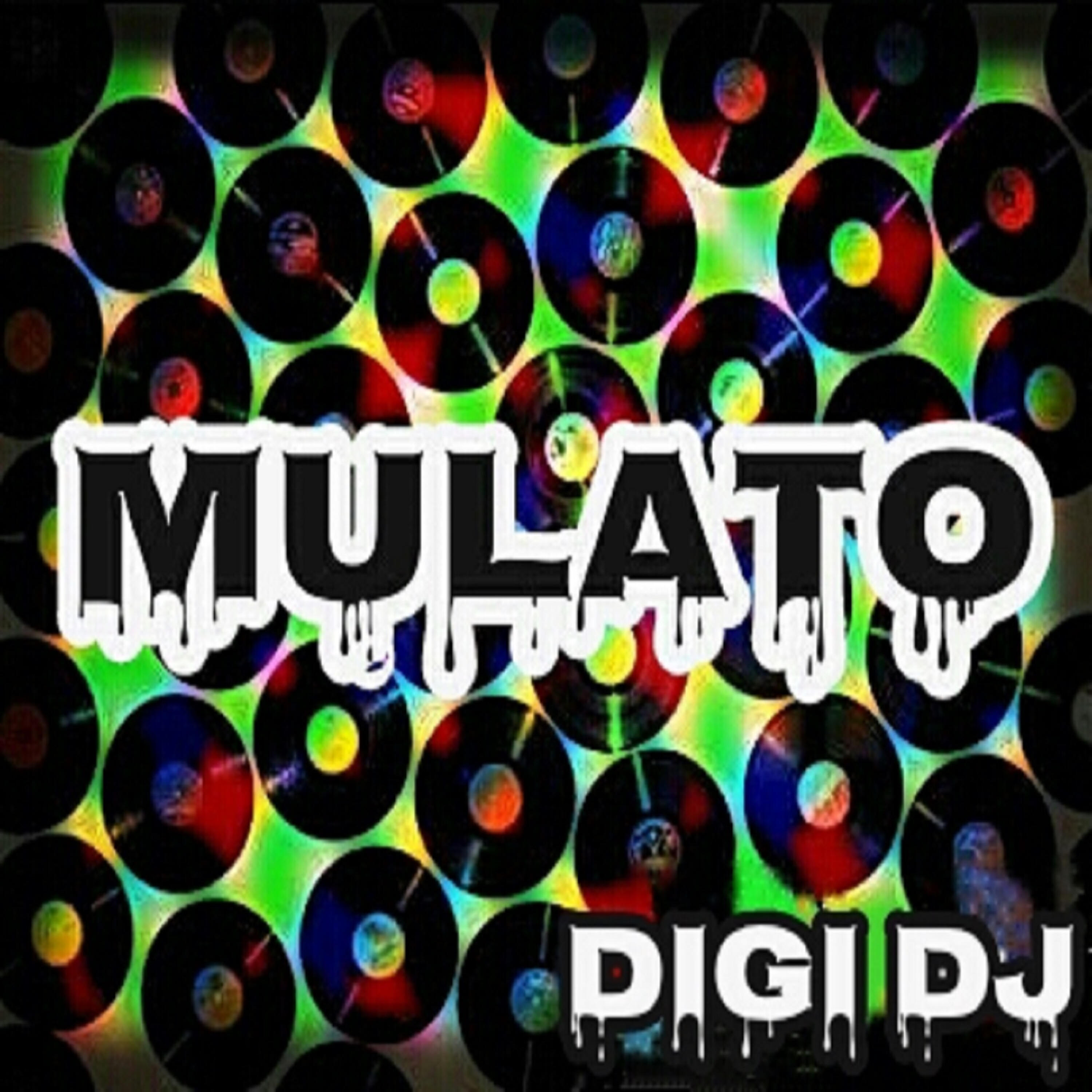 Digi DJ