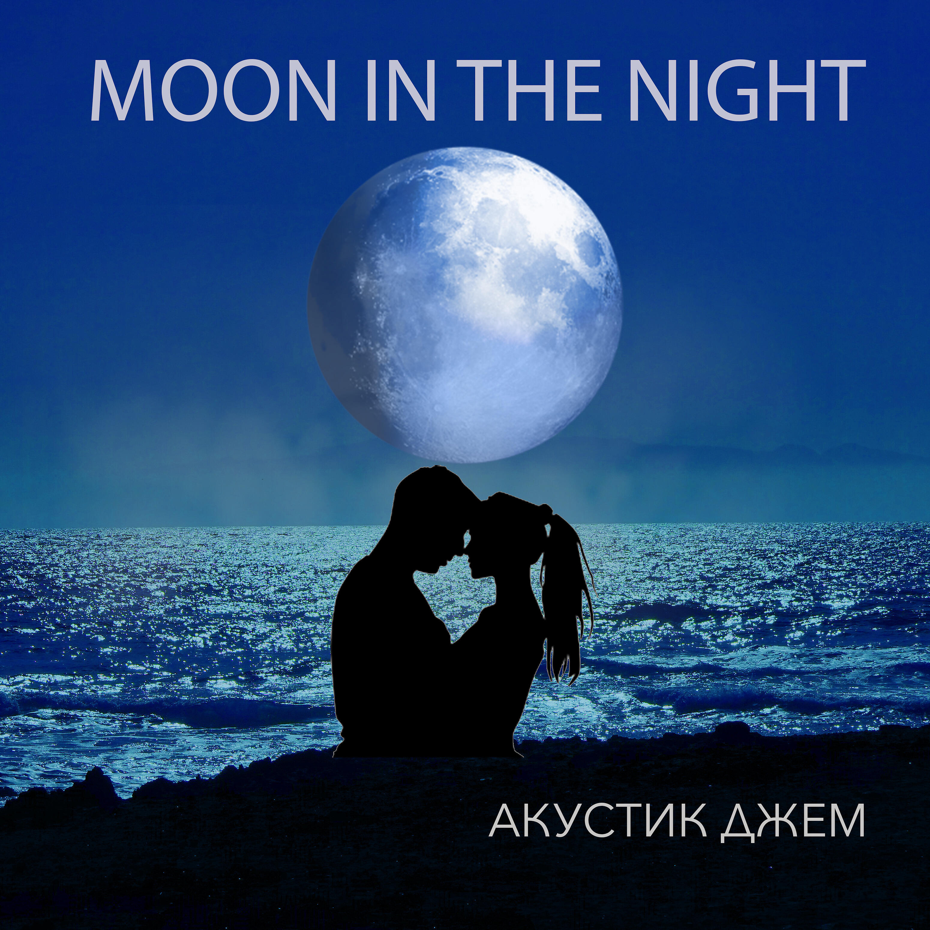 Релиз Moon in the Night