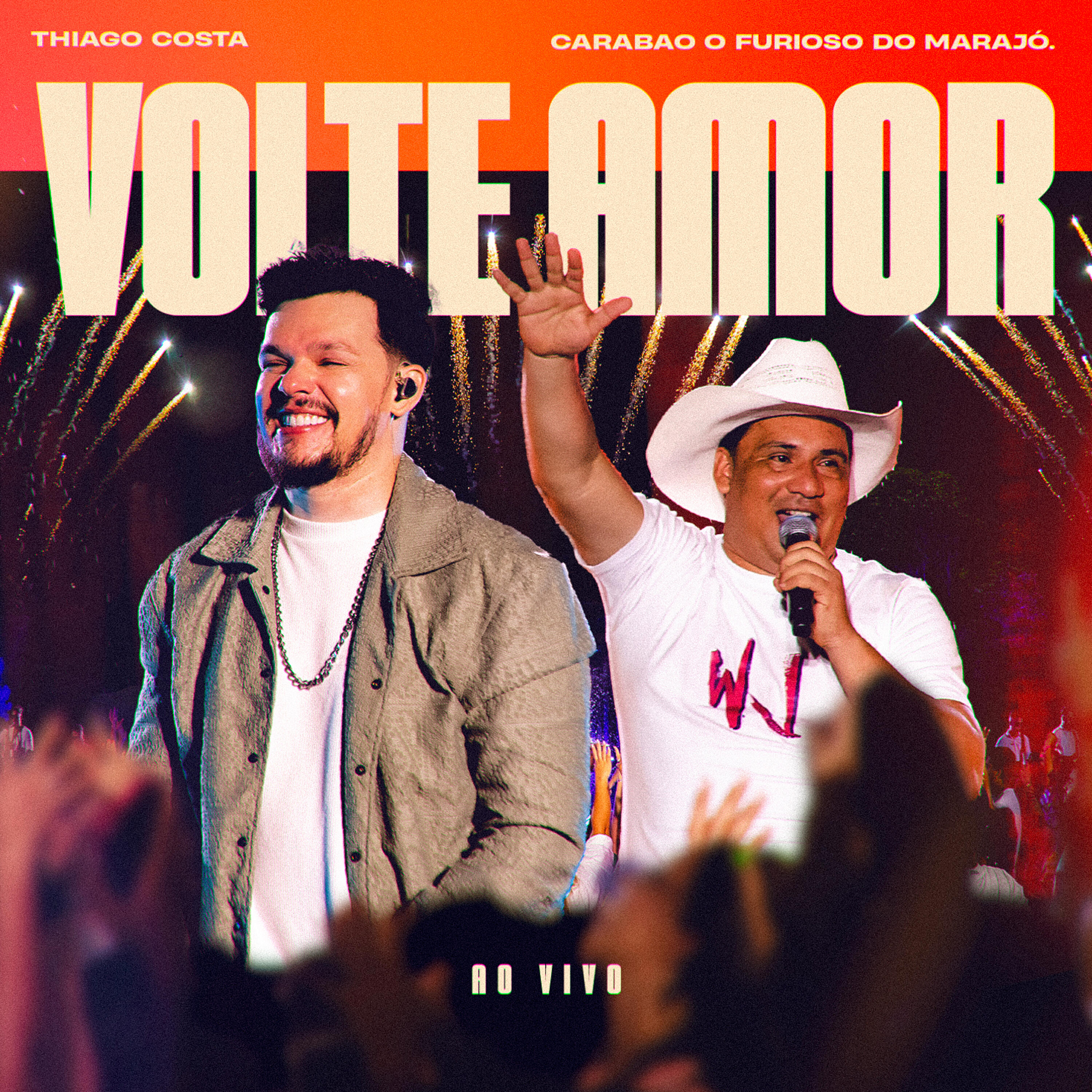 Релиз Volte Amor (Ao Vivo)