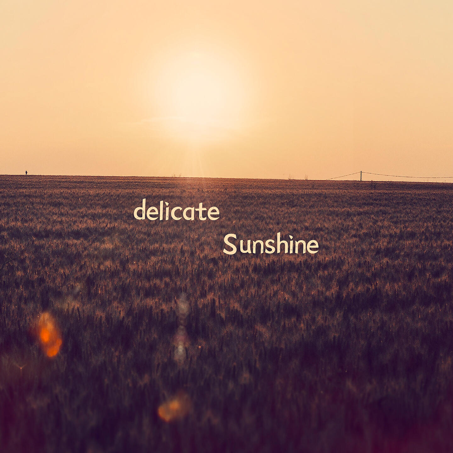 Релиз delicate