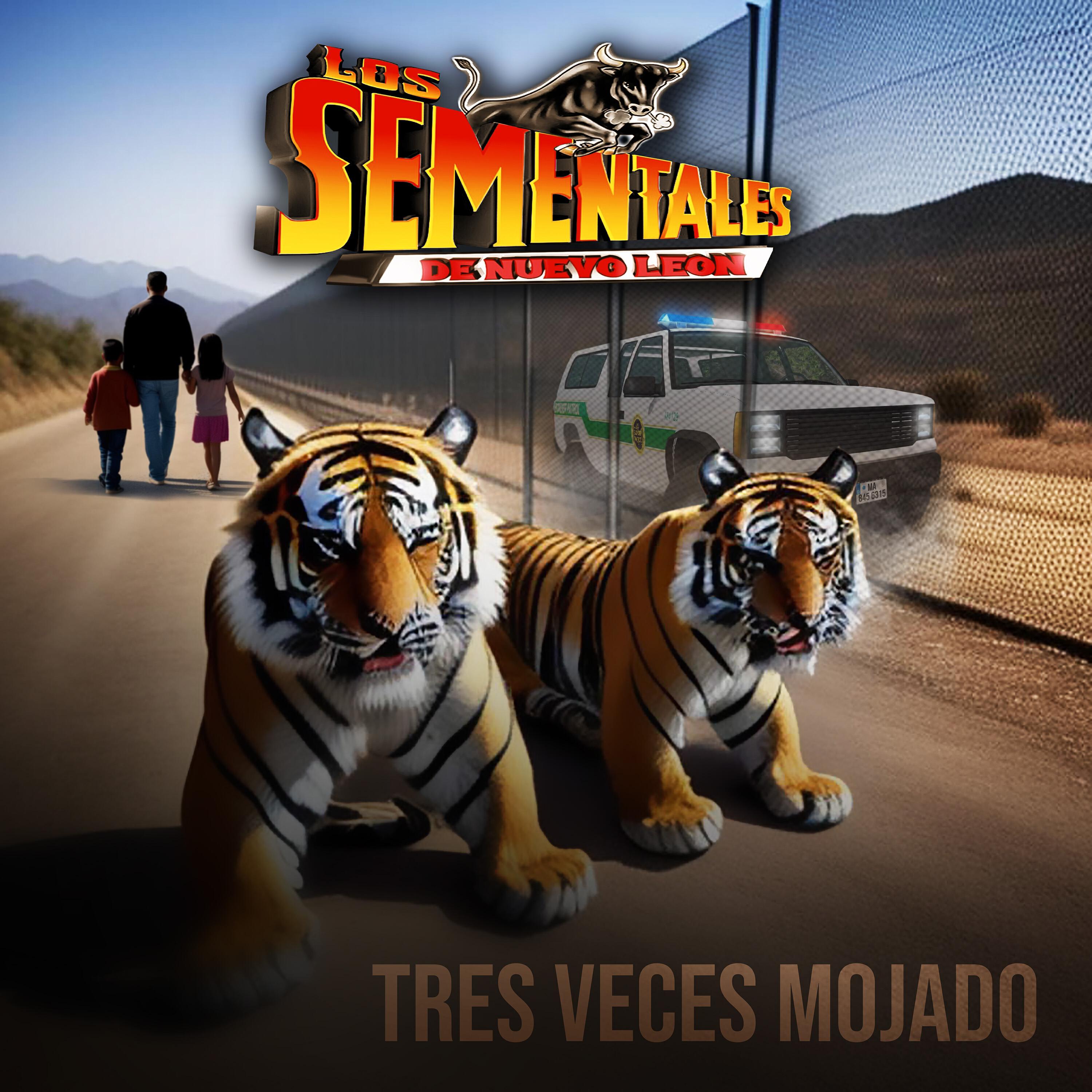Релиз Tres Veces Mojado