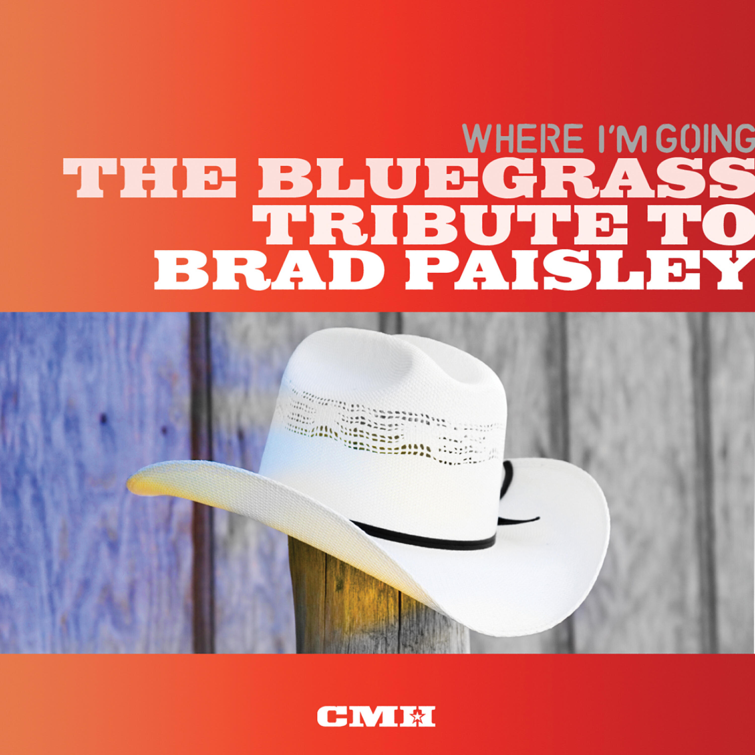 Релиз The Bluegrass Tribute To Brad Paisley: Where I'm Going