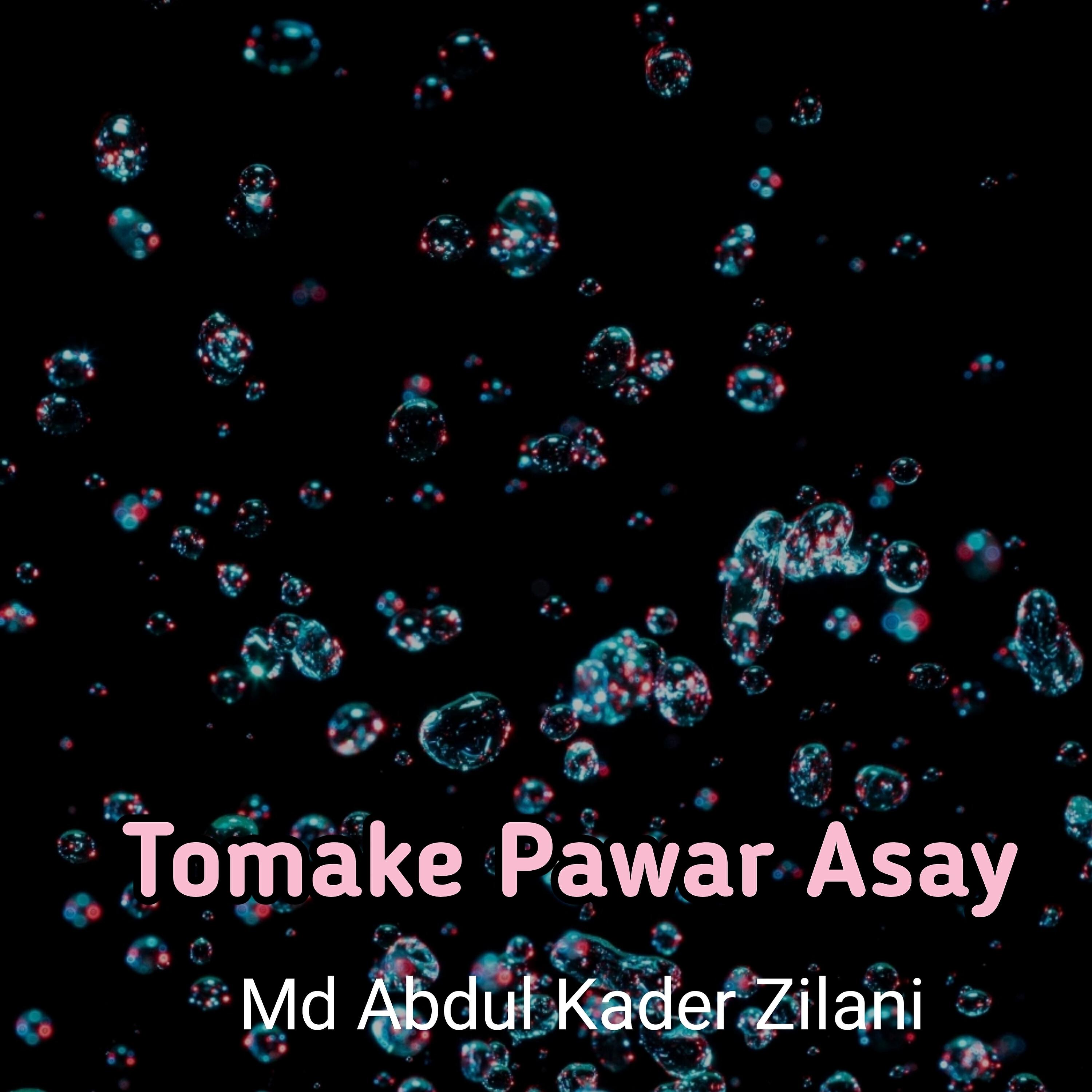 Md Abdul Kader Zilani