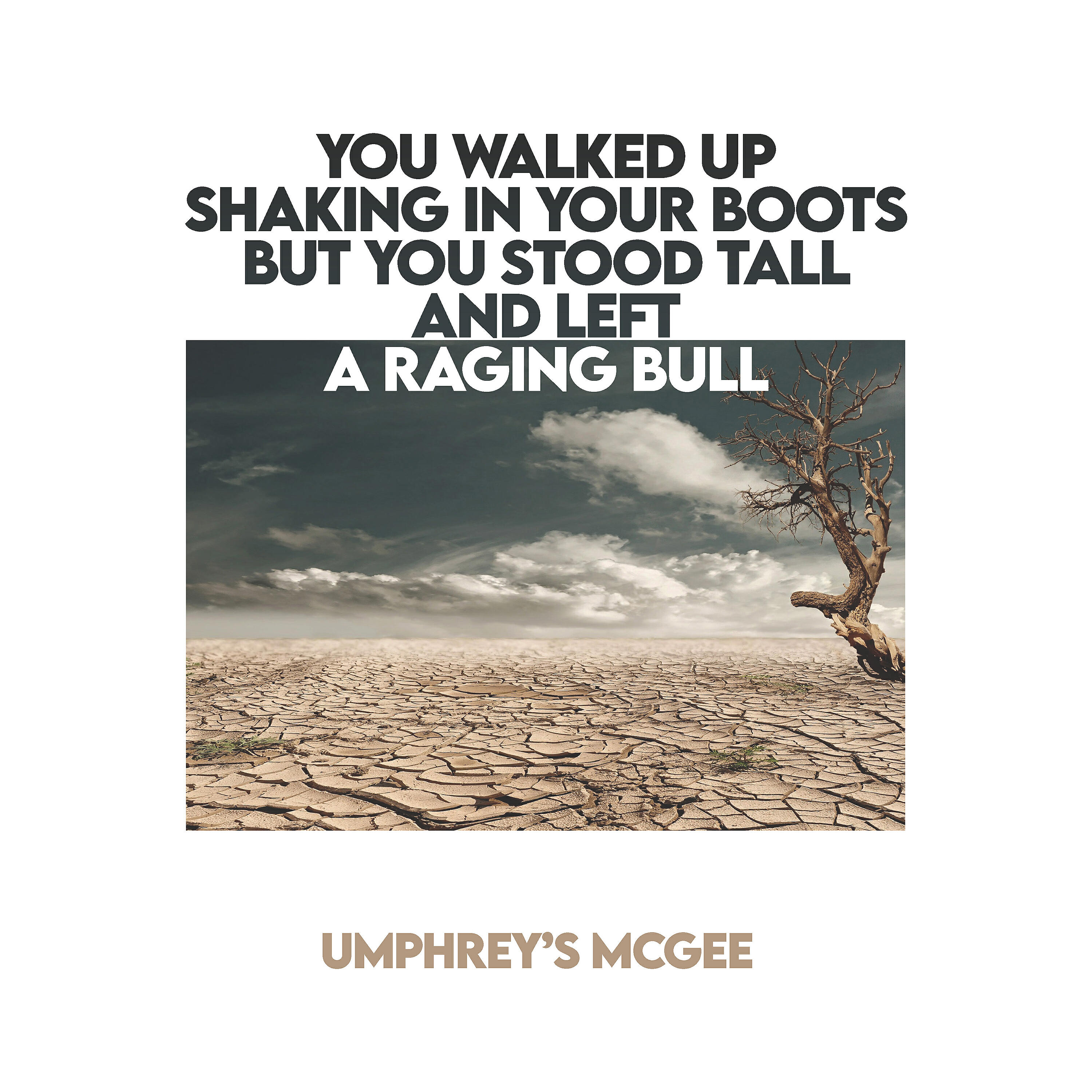 Релиз YOU WALKED UP SHAKING IN YOUR BOOTS BUT YOU STOOD TALL AND LEFT A RAGING BULL