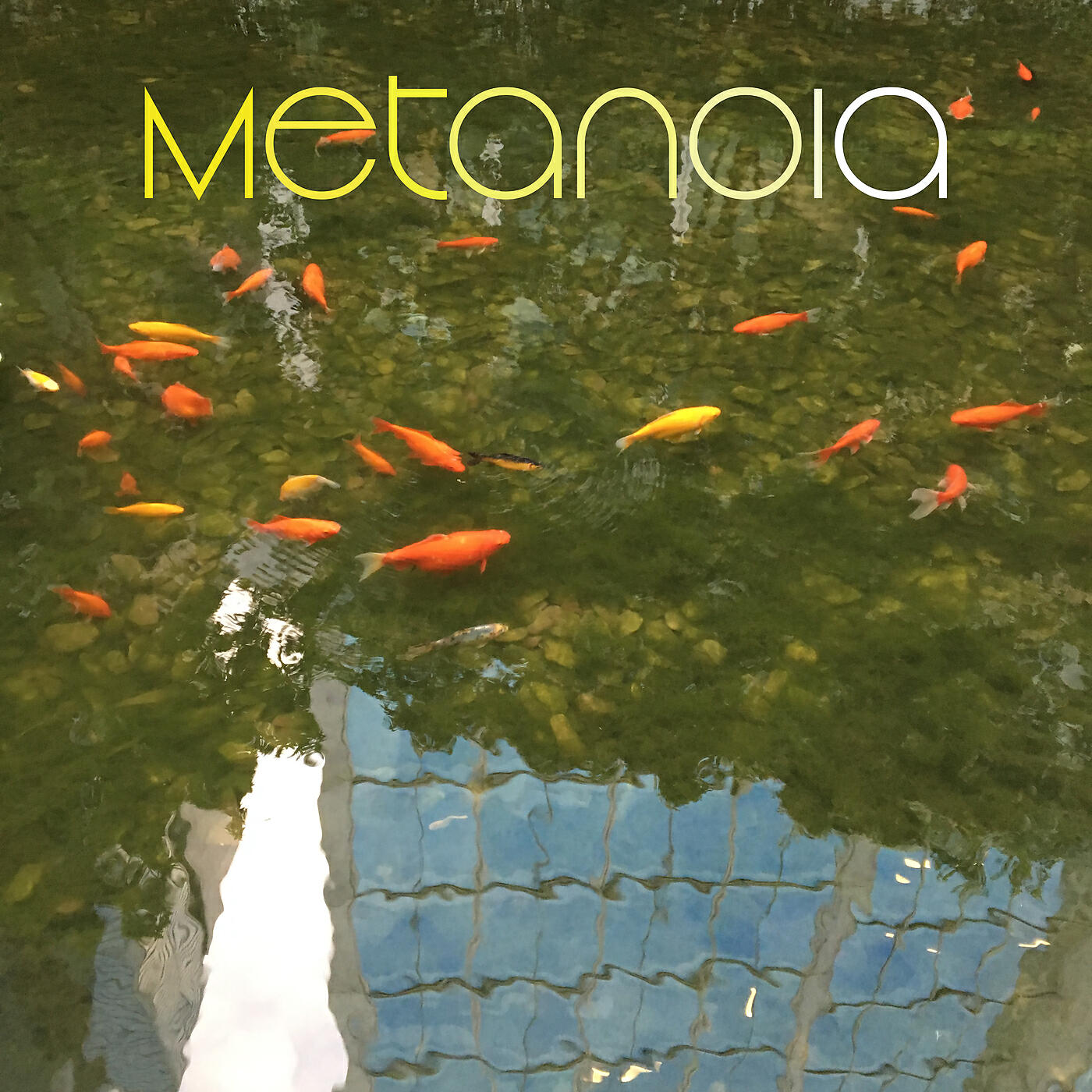 Постер альбома Metanoia