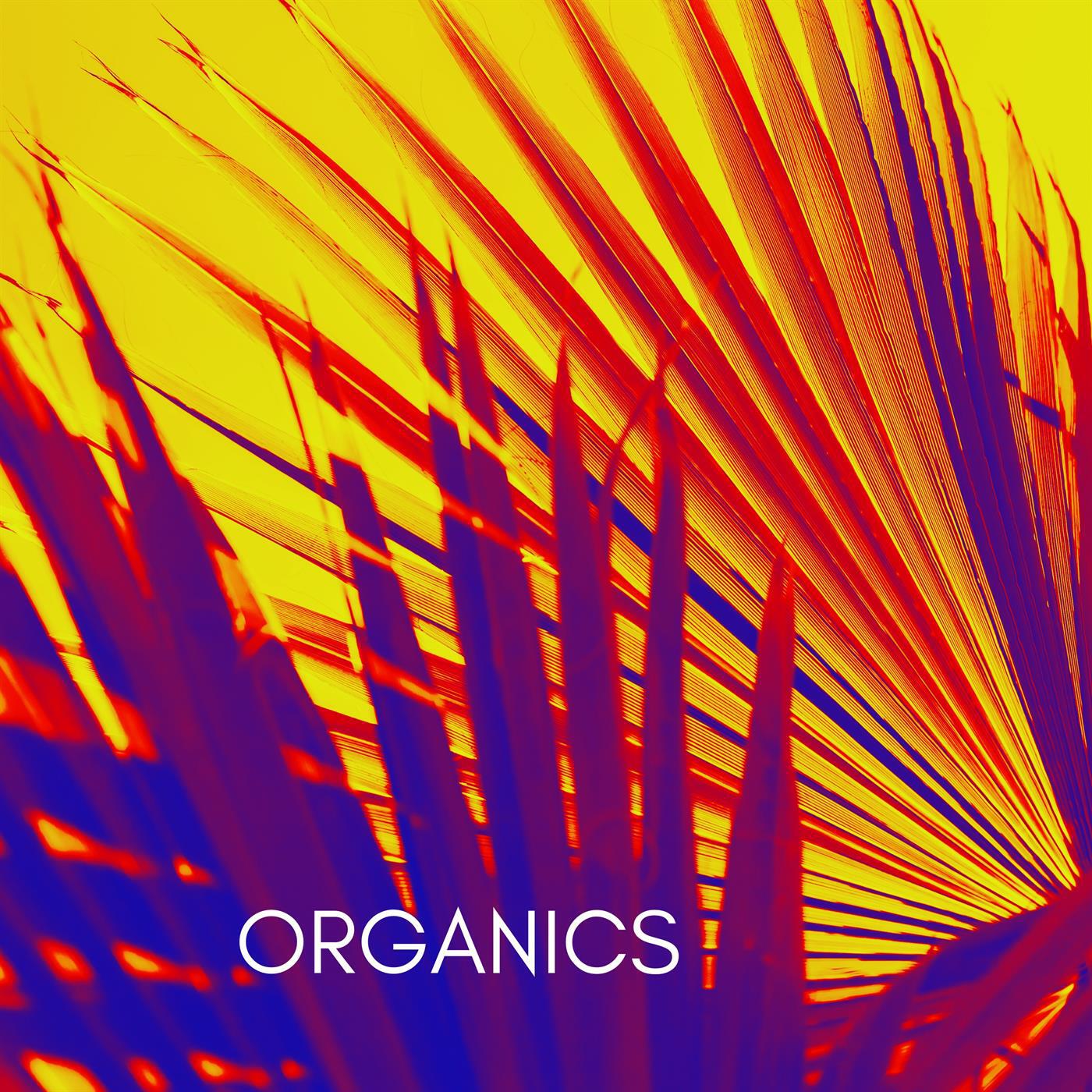 Релиз Organics