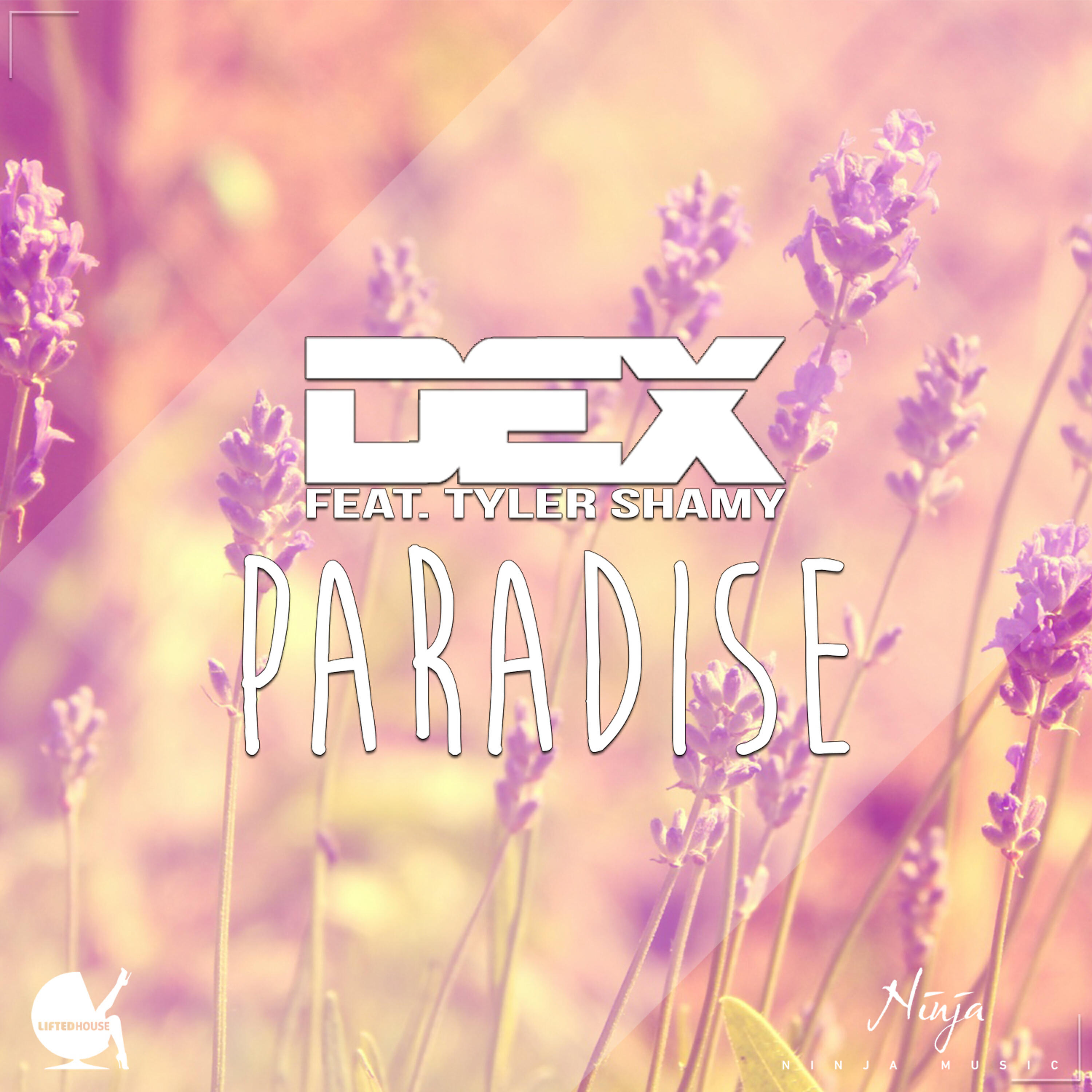 Релиз Paradise (feat. Tyler Shamy)
