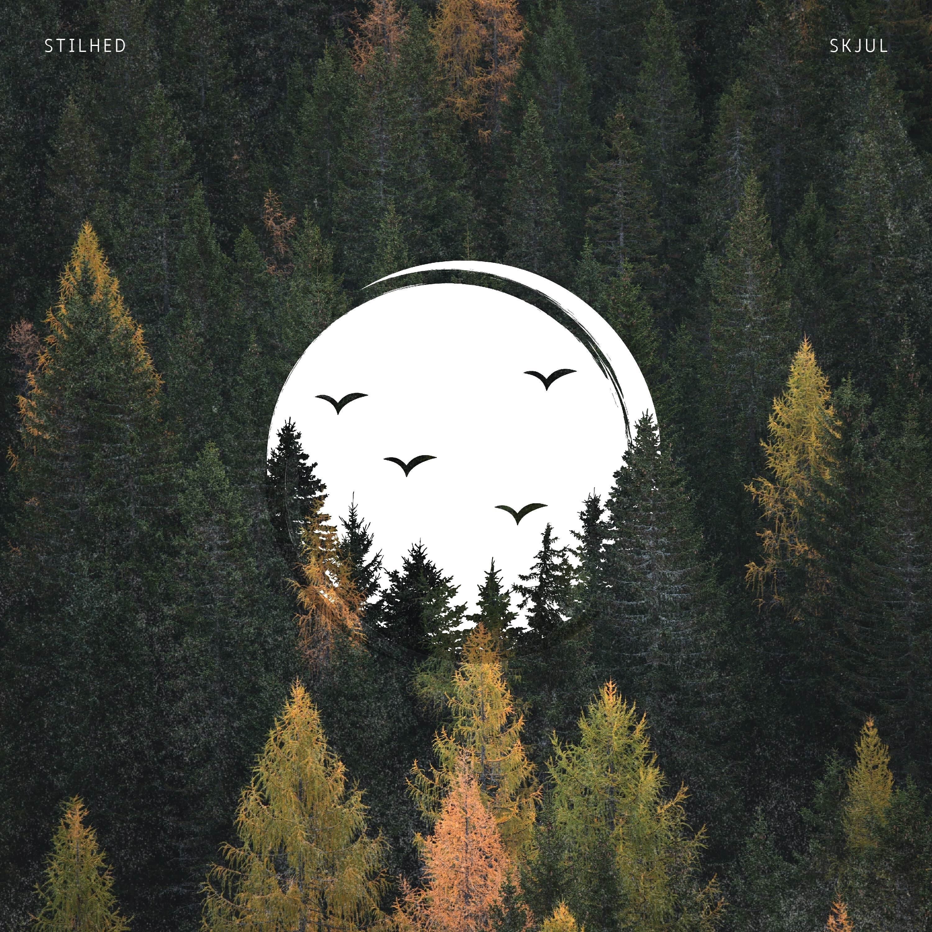 Релиз Skjul