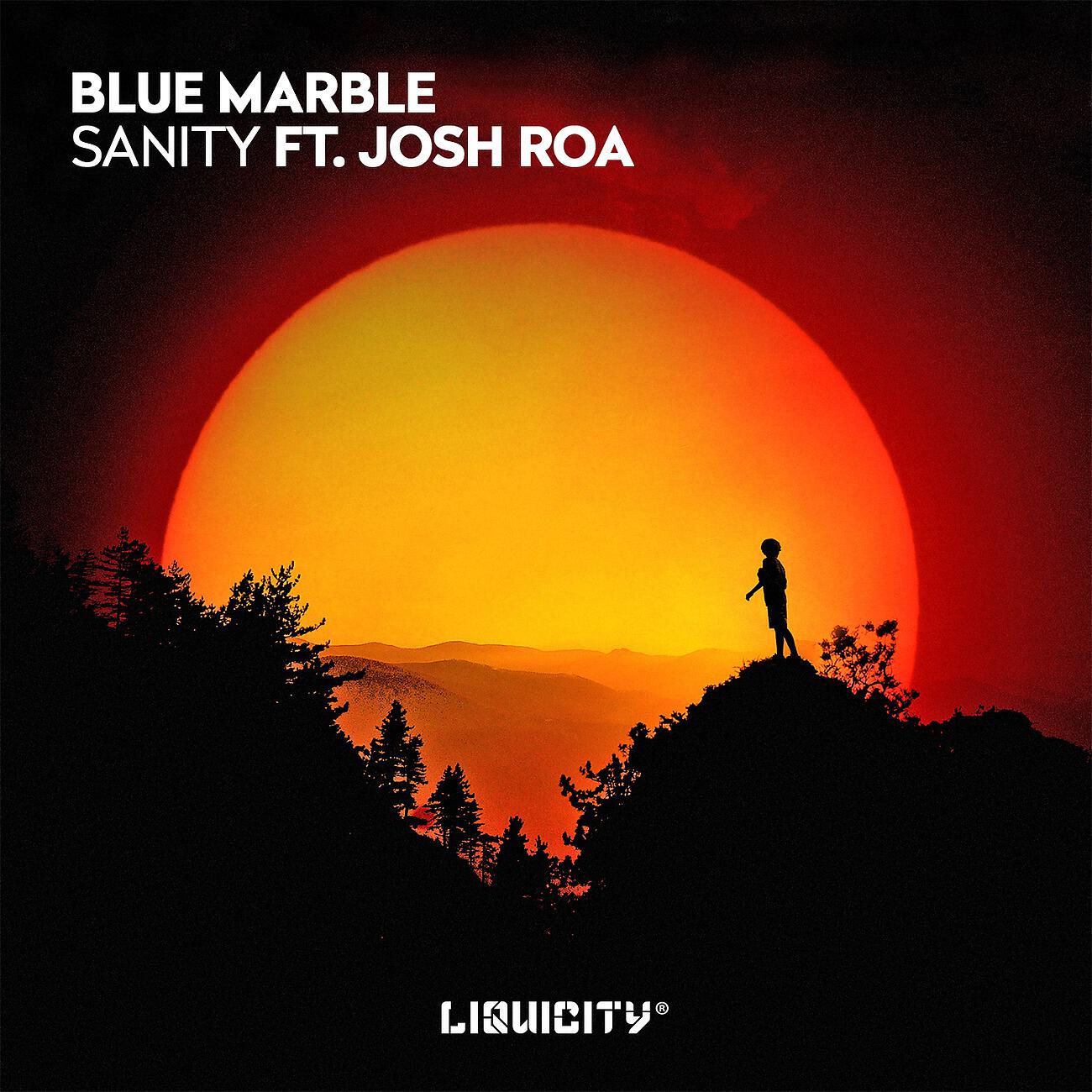 Релиз Sanity (Feat. Josh Roa)