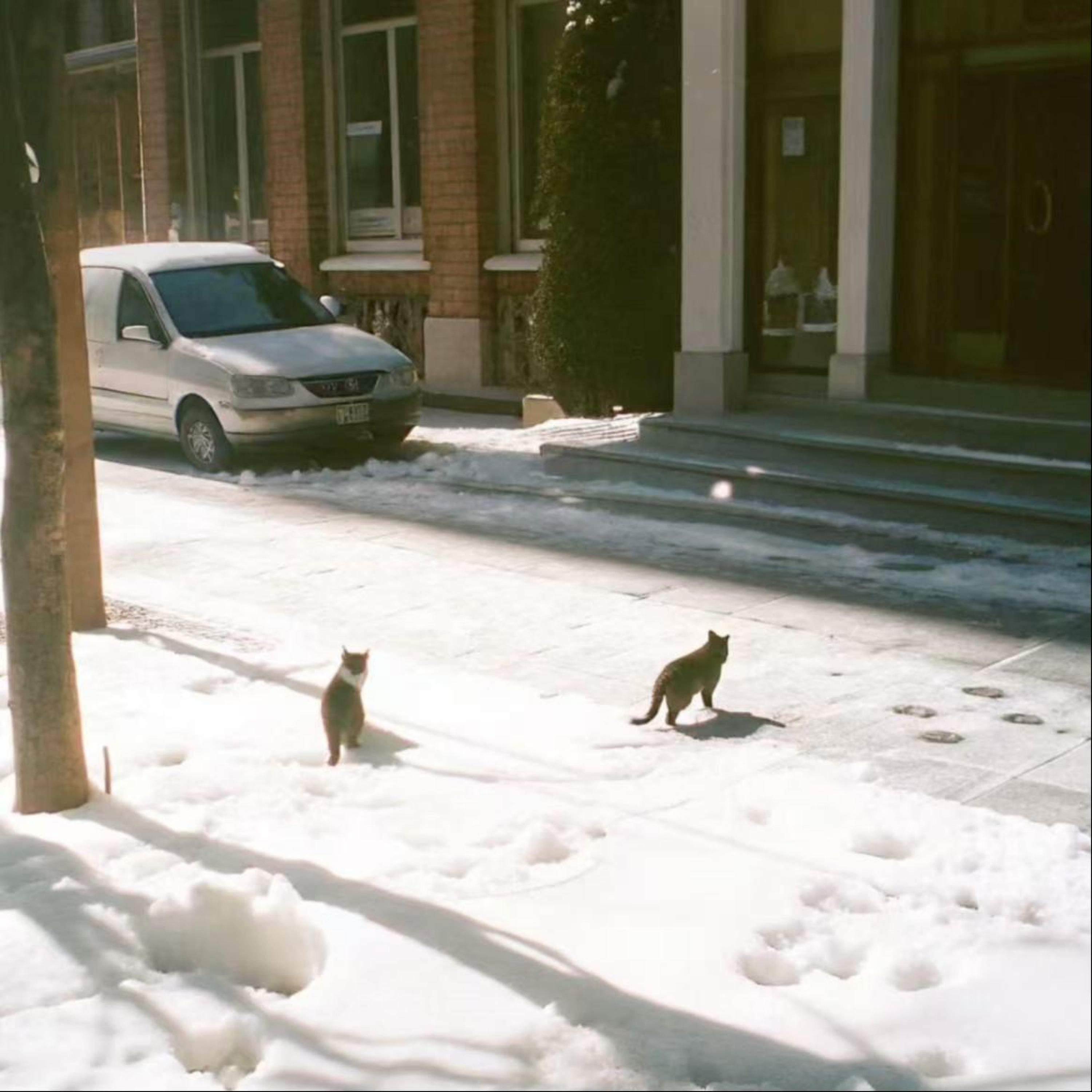 Релиз 我的181秒