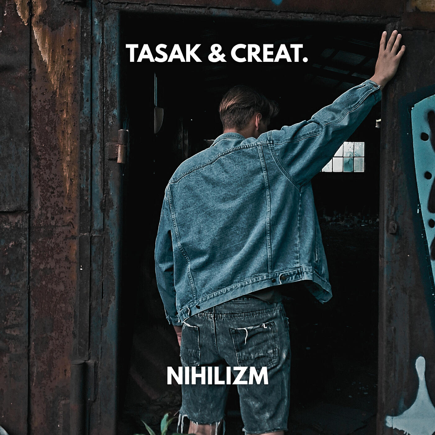 Постер альбома Nihilizm