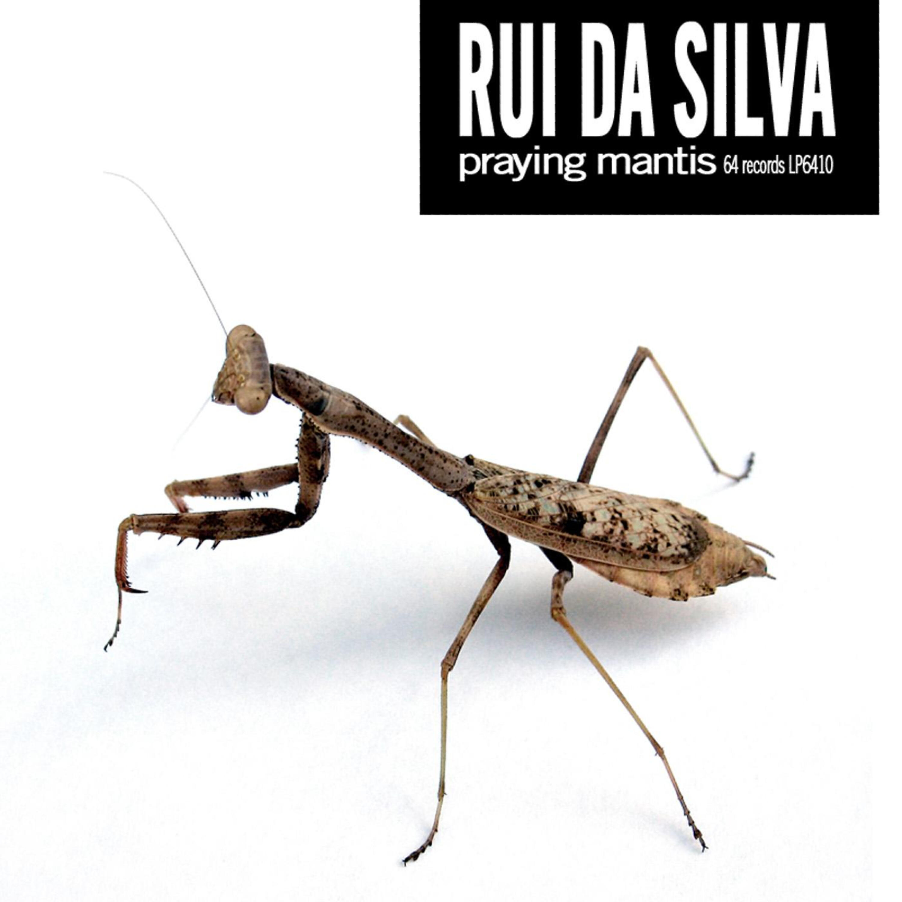 Скачать песню Rui da Silva - The Contracting Perception Of Consciousness бесплатно в MP3 для Android и iOS