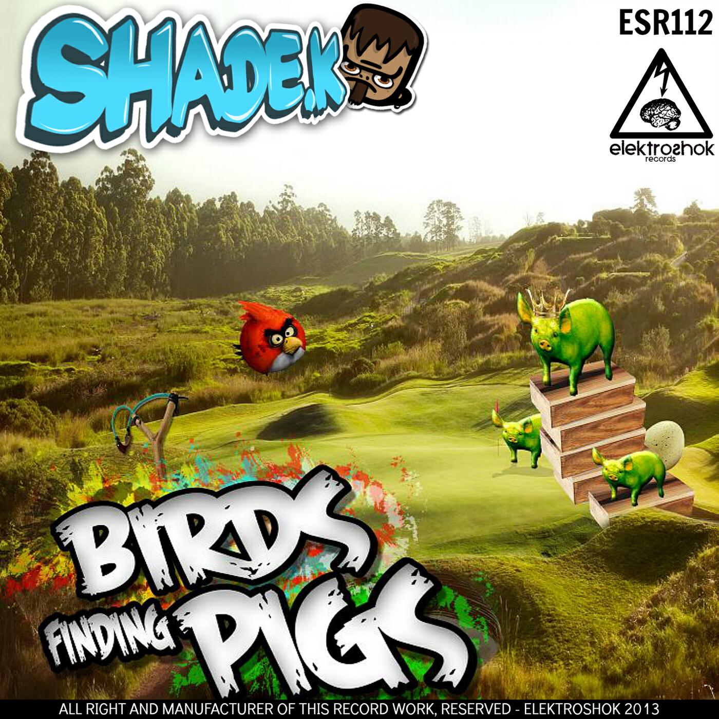 Релиз Birds Finding Pigs