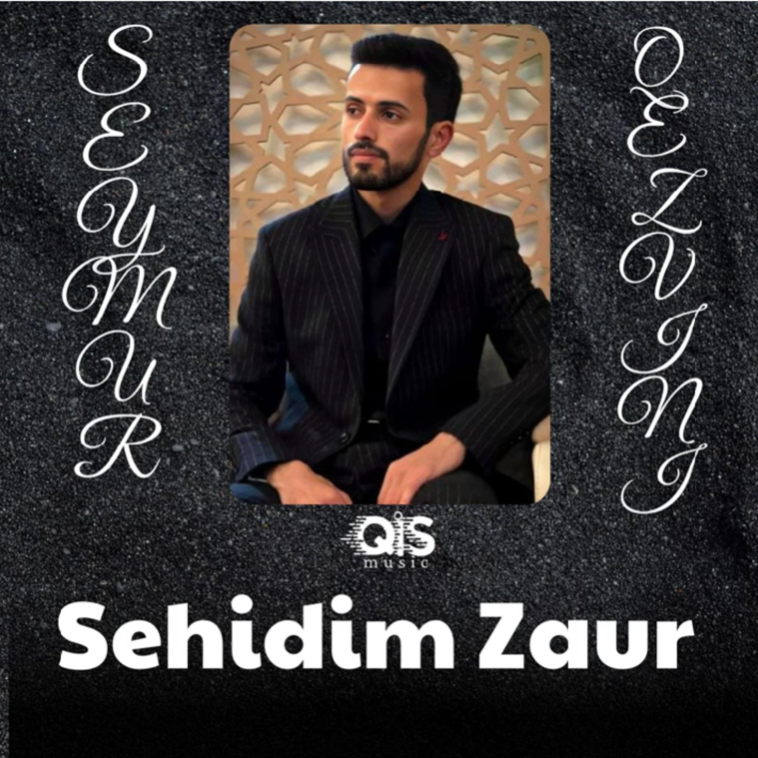 Релиз Sehidim Zaur