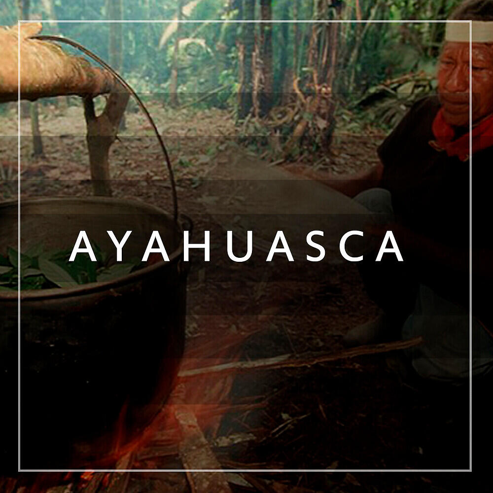 Релиз Ayahuasca