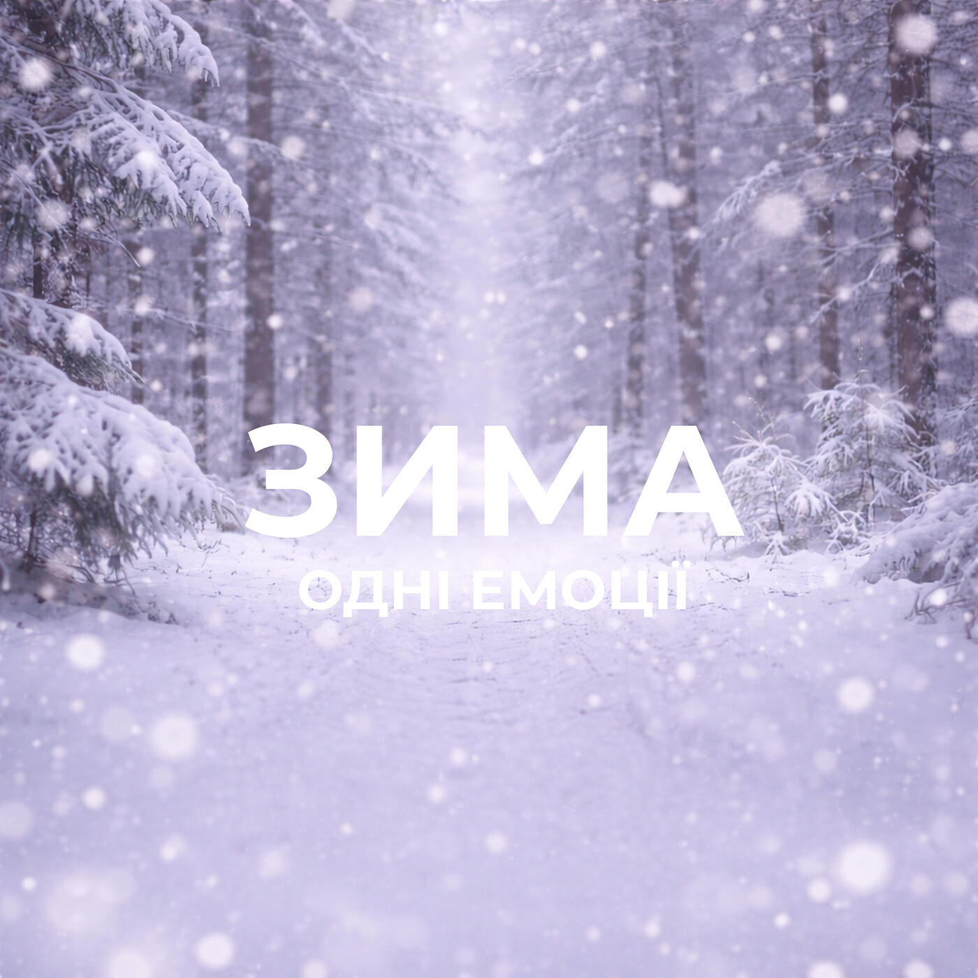 Релиз Зима