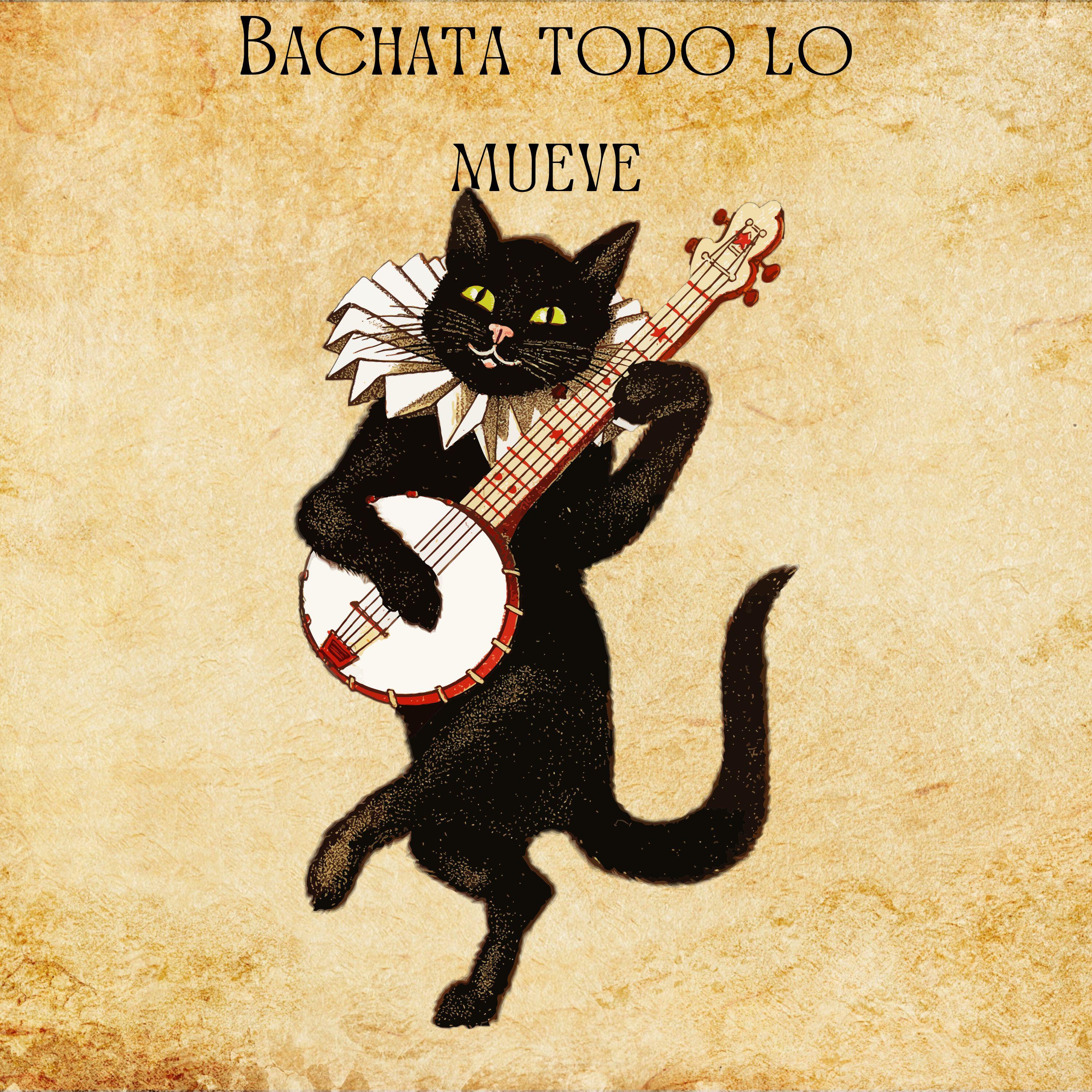 Постер альбома Bachata todo lo mueve