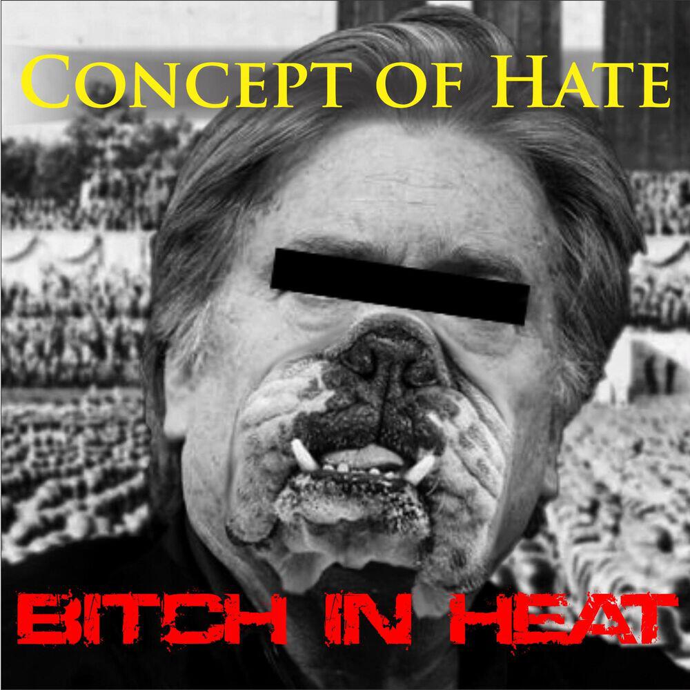 Concept of Hate