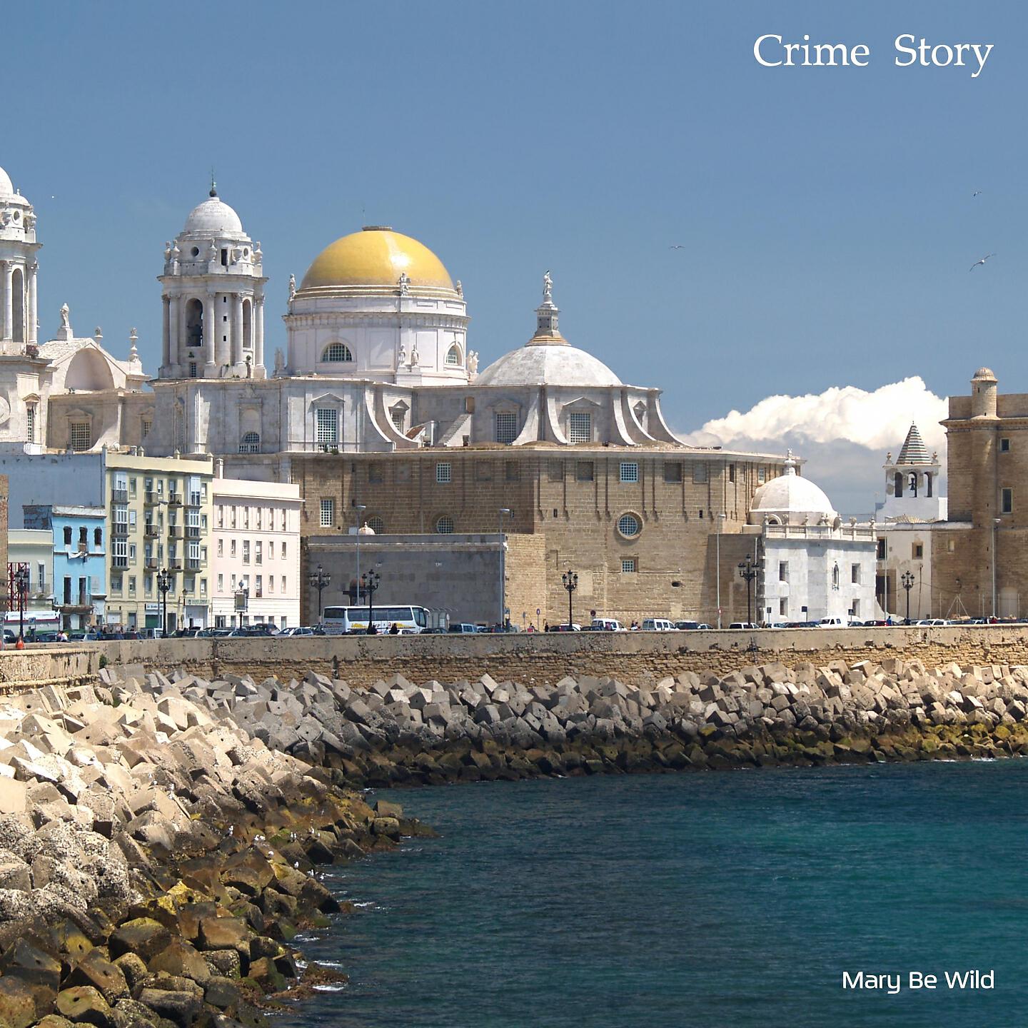 Постер альбома Crime Story