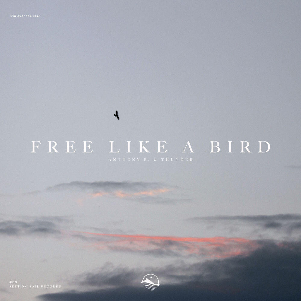 Релиз Free Like a Bird