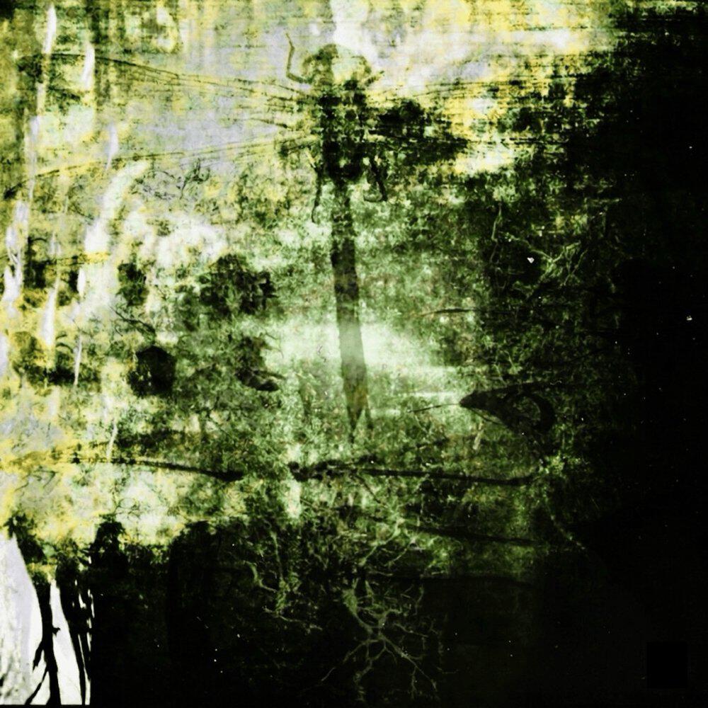 Релиз Insect Rave
