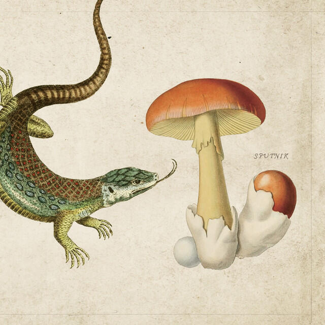 Релиз スプートニク